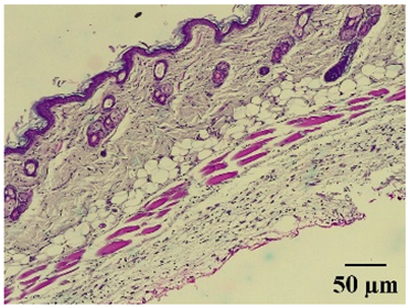 Molecules 29 04964 i009