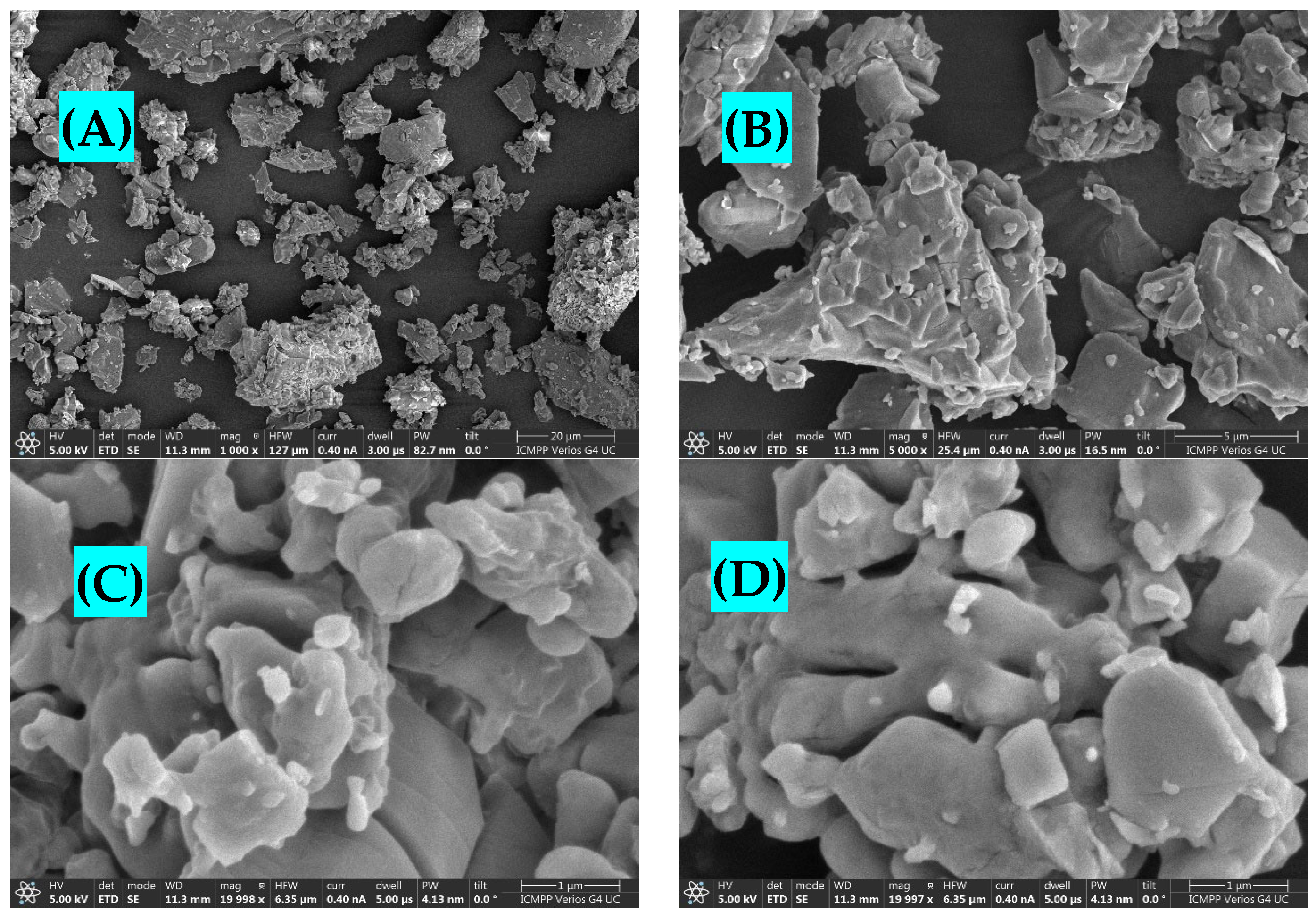 Molecules 29 04969 g004