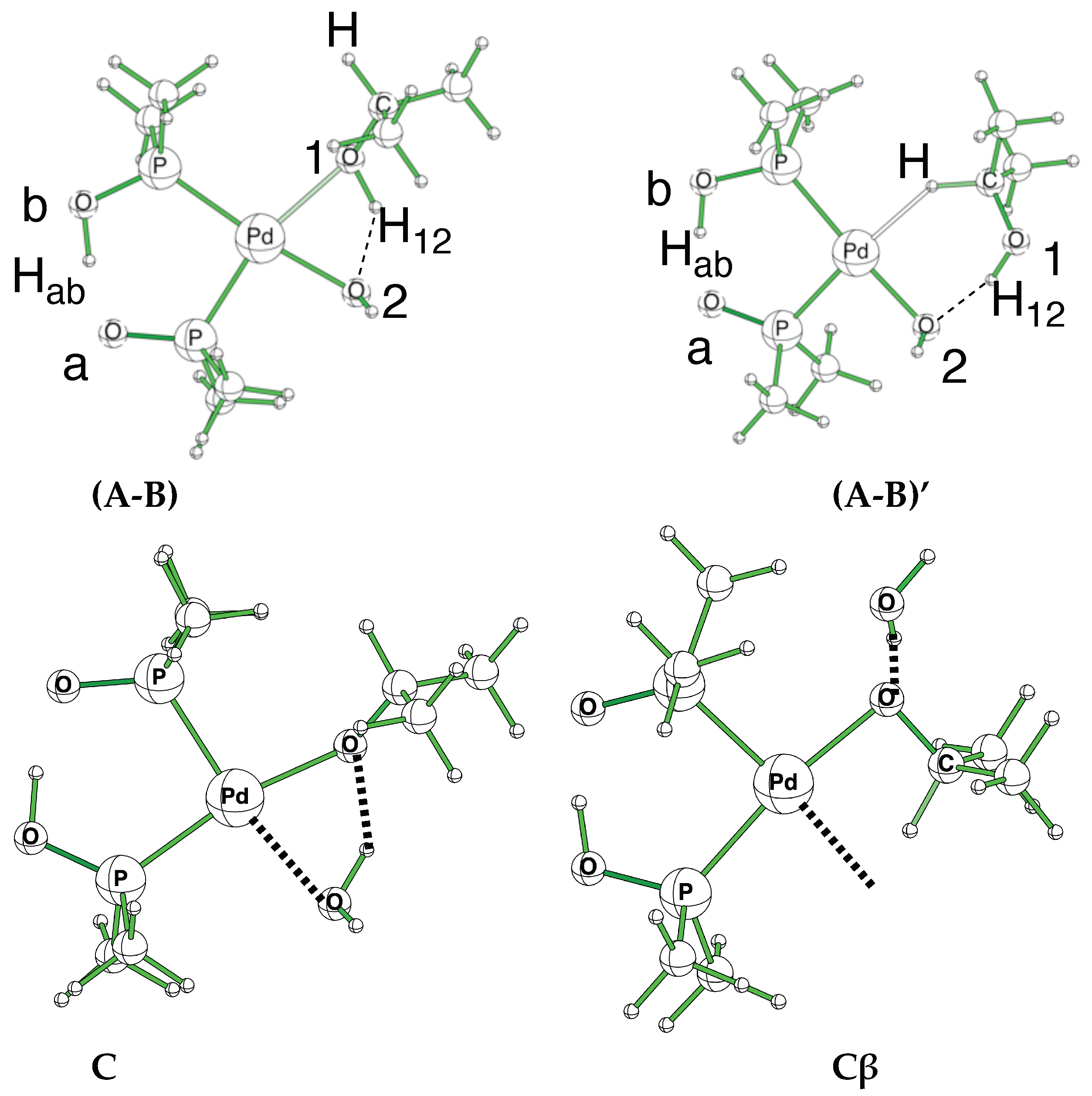 Molecules 29 04999 g002 Molecules 29 04999 g002