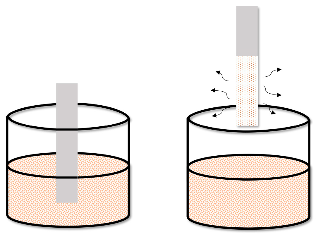 Molecules 29 05025 g010