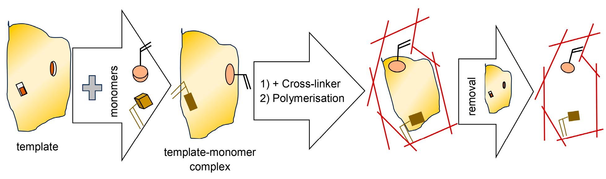 Molecules 29 05025 g018