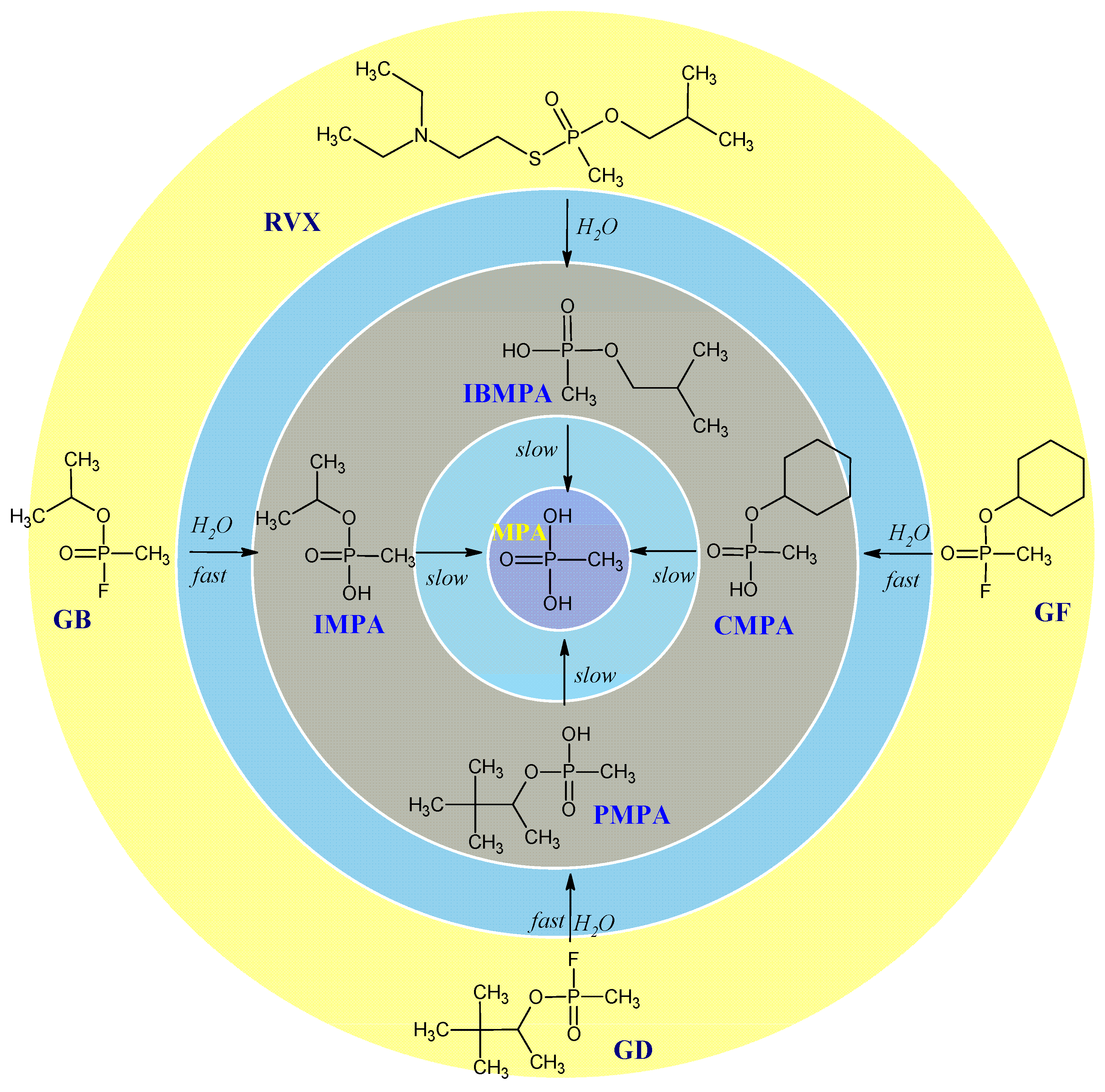 Molecules 29 05031 g002