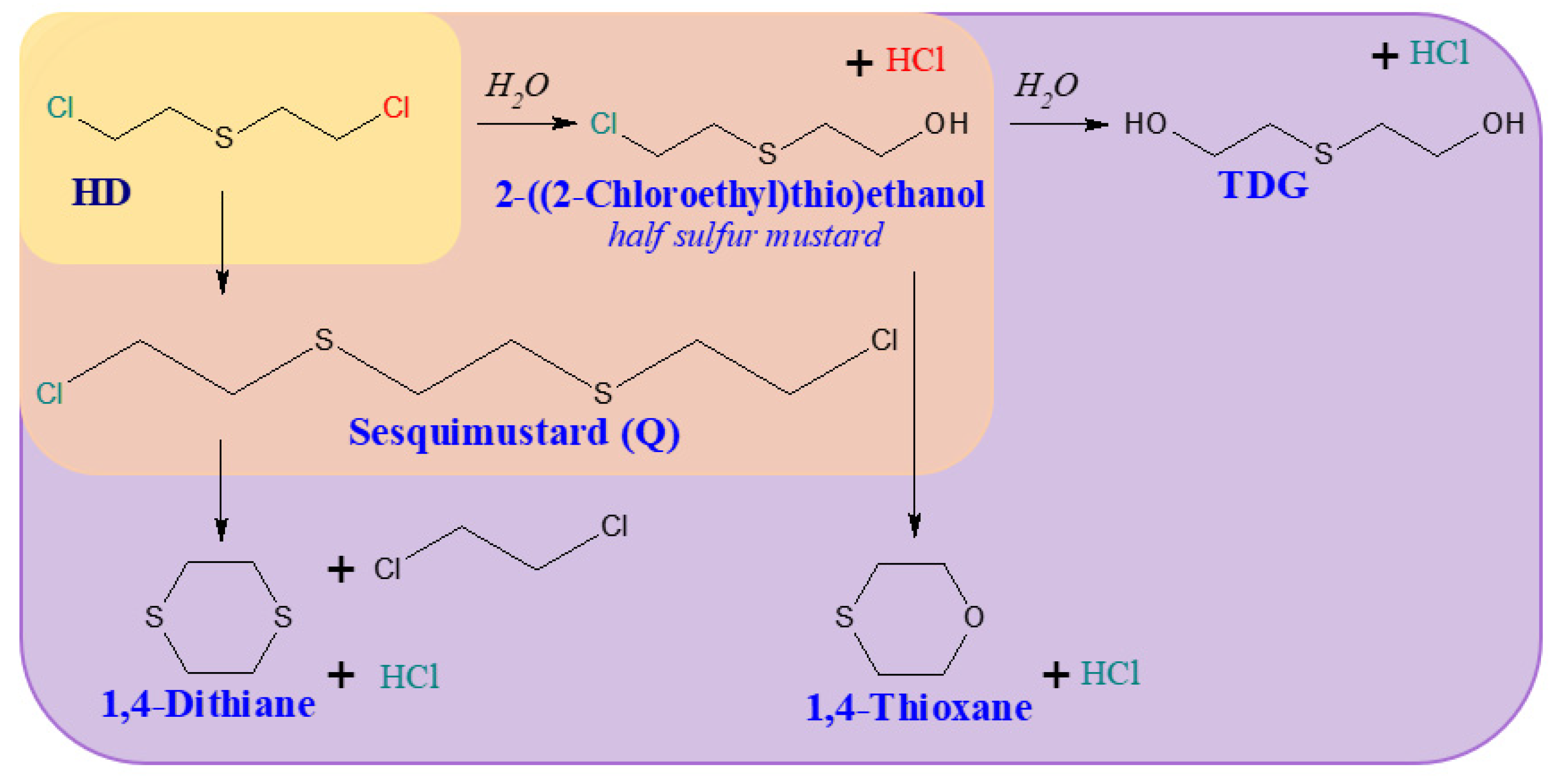 Molecules 29 05031 g003