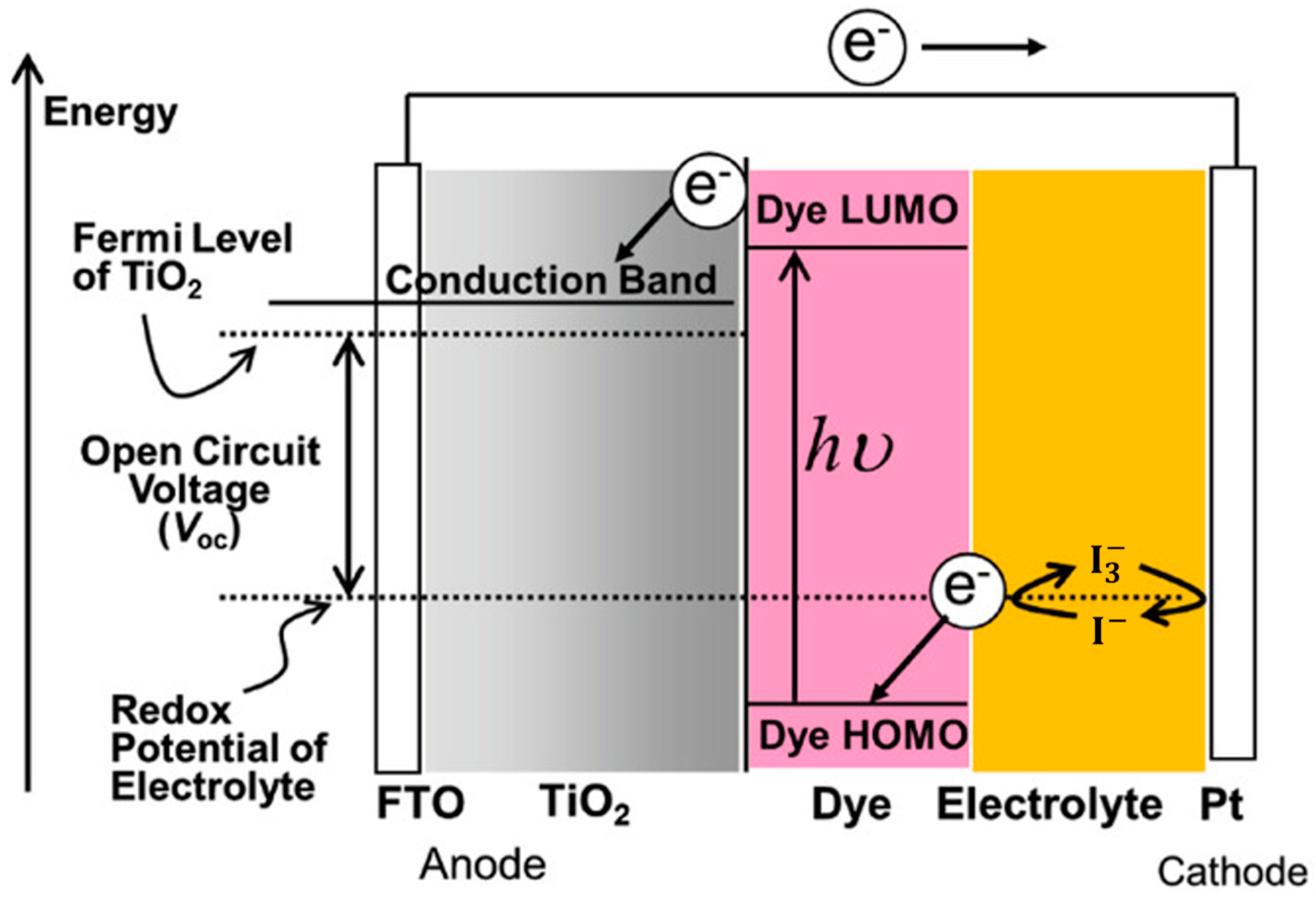 Molecules 29 05035 g001 Molecules 29 05035 g001