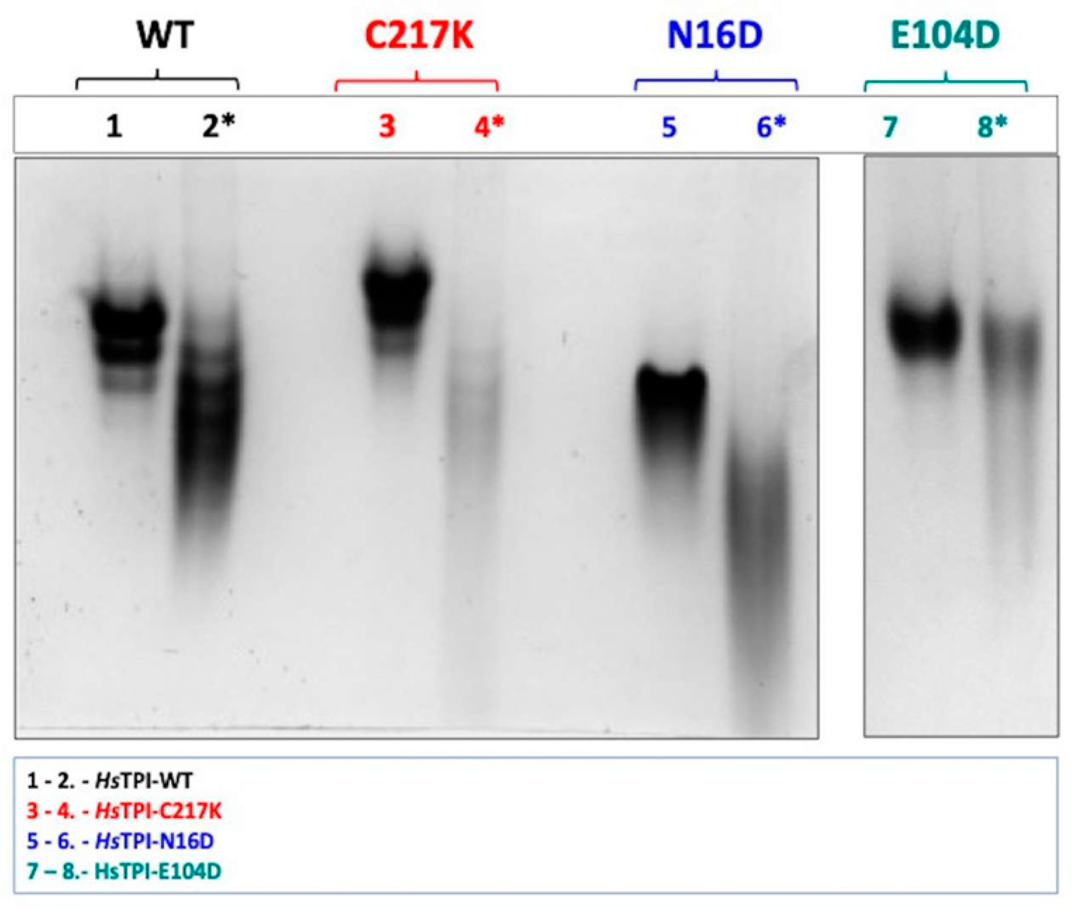 Molecules 29 05047 g002