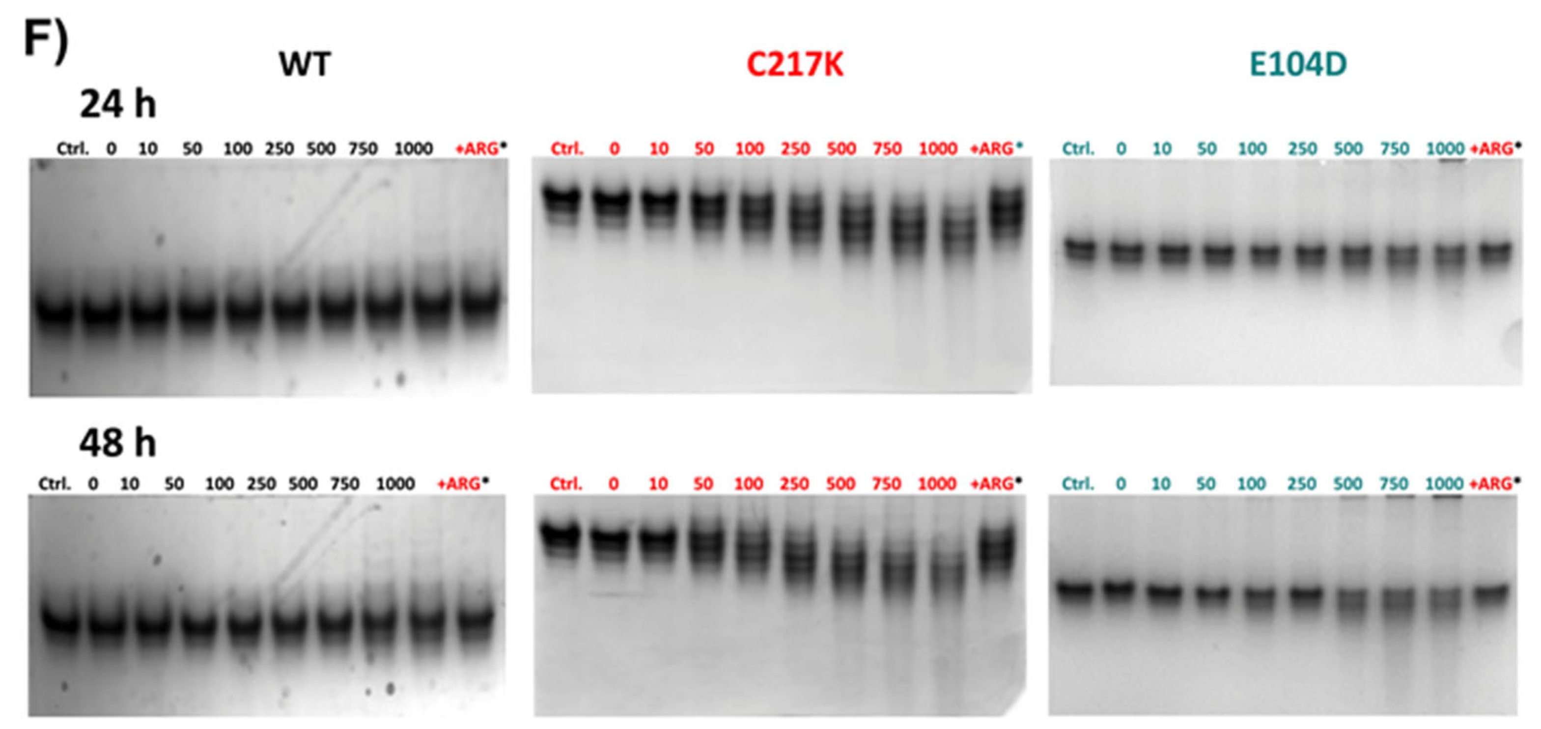 Molecules 29 05047 g008b