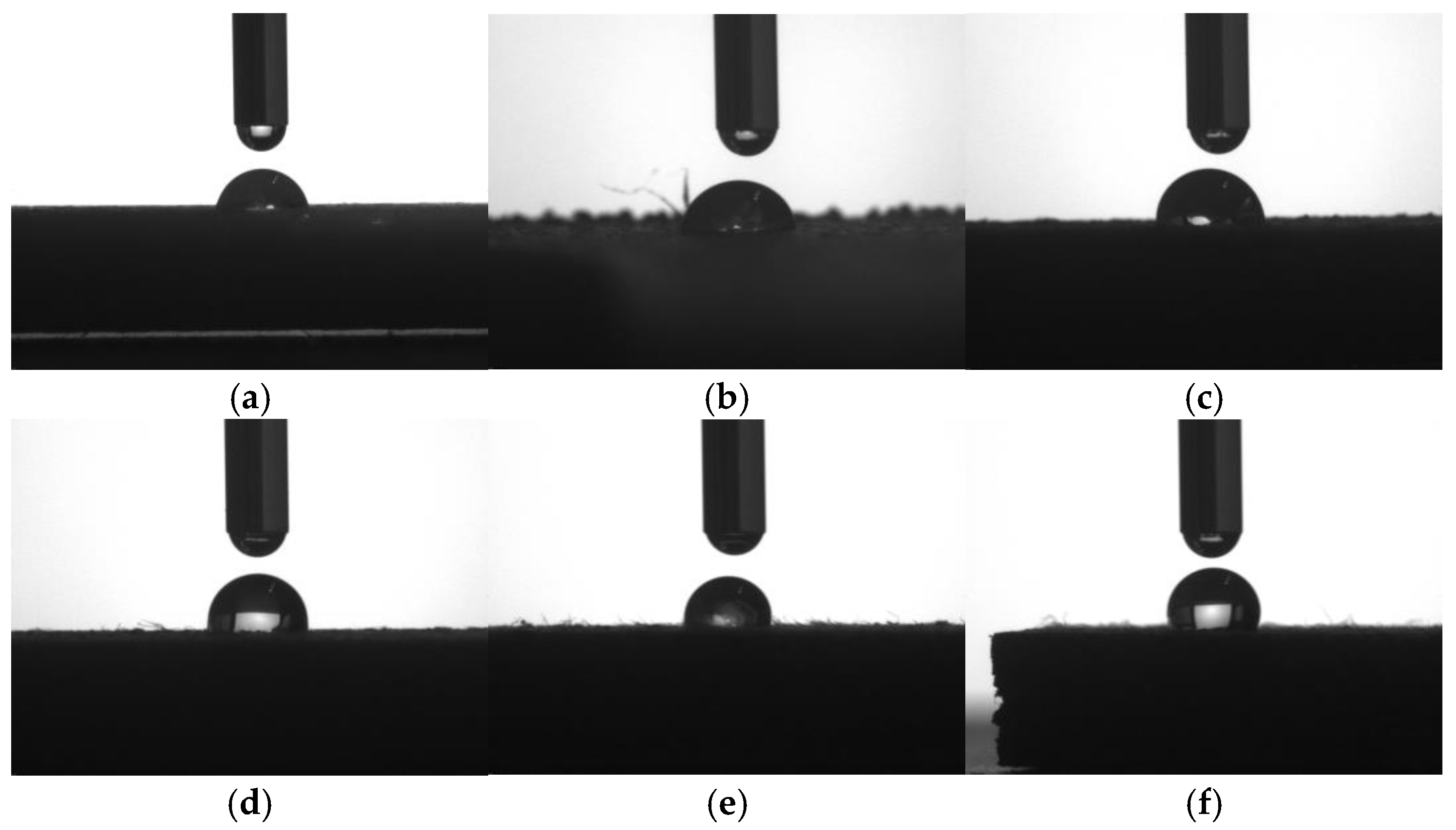 Molecules 29 05087 g006
