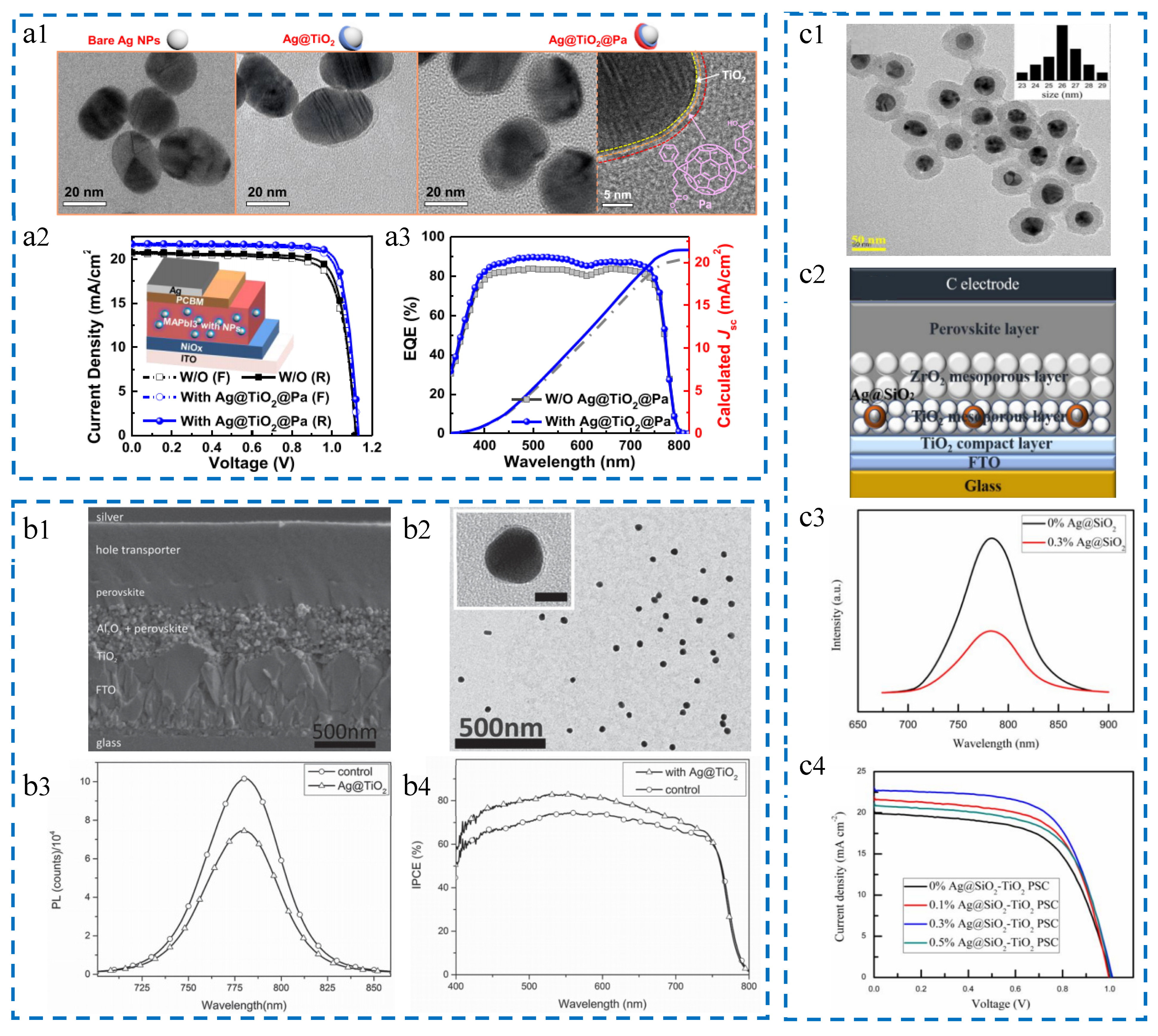 Molecules 29 05091 g004