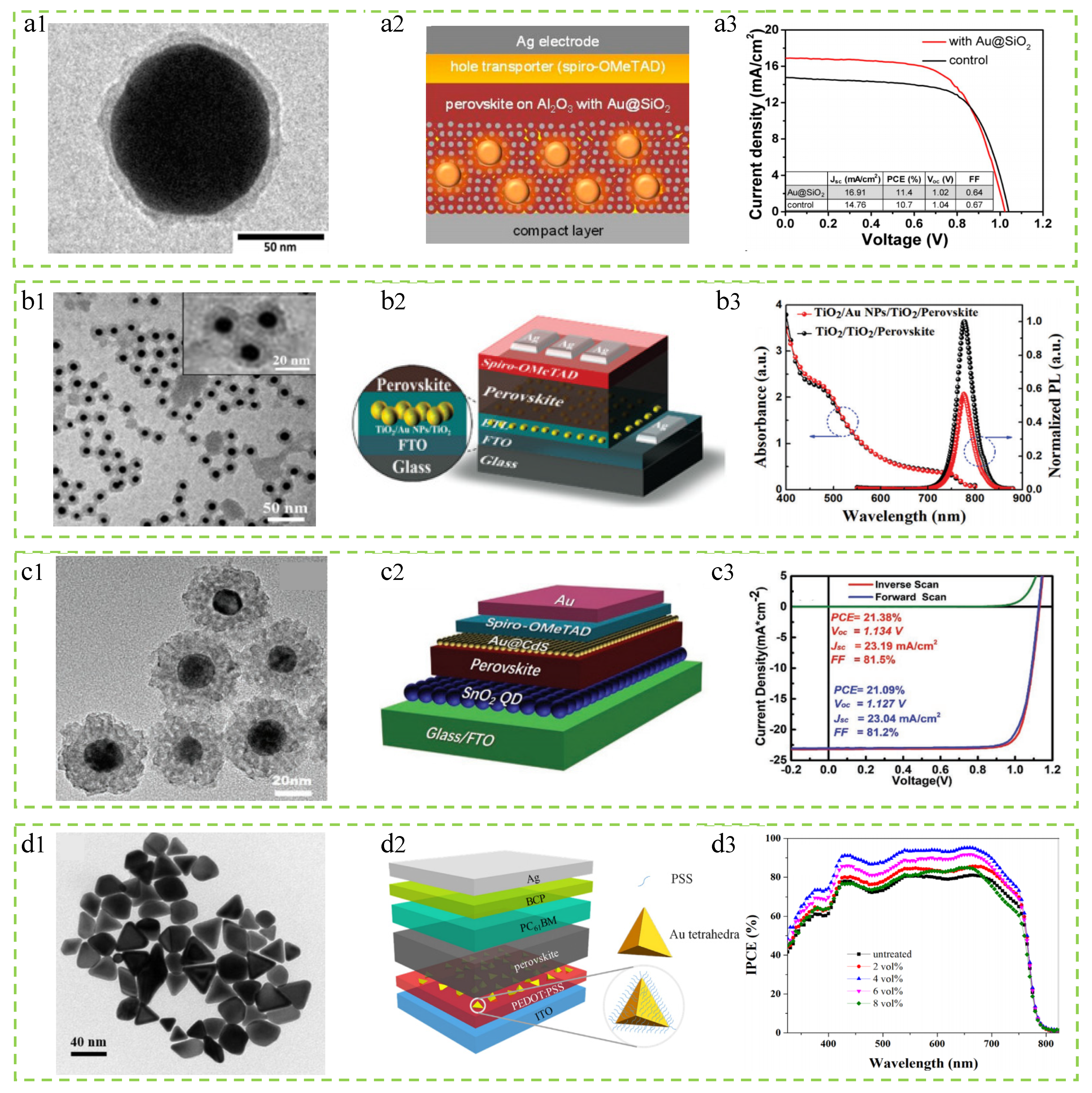 Molecules 29 05091 g006