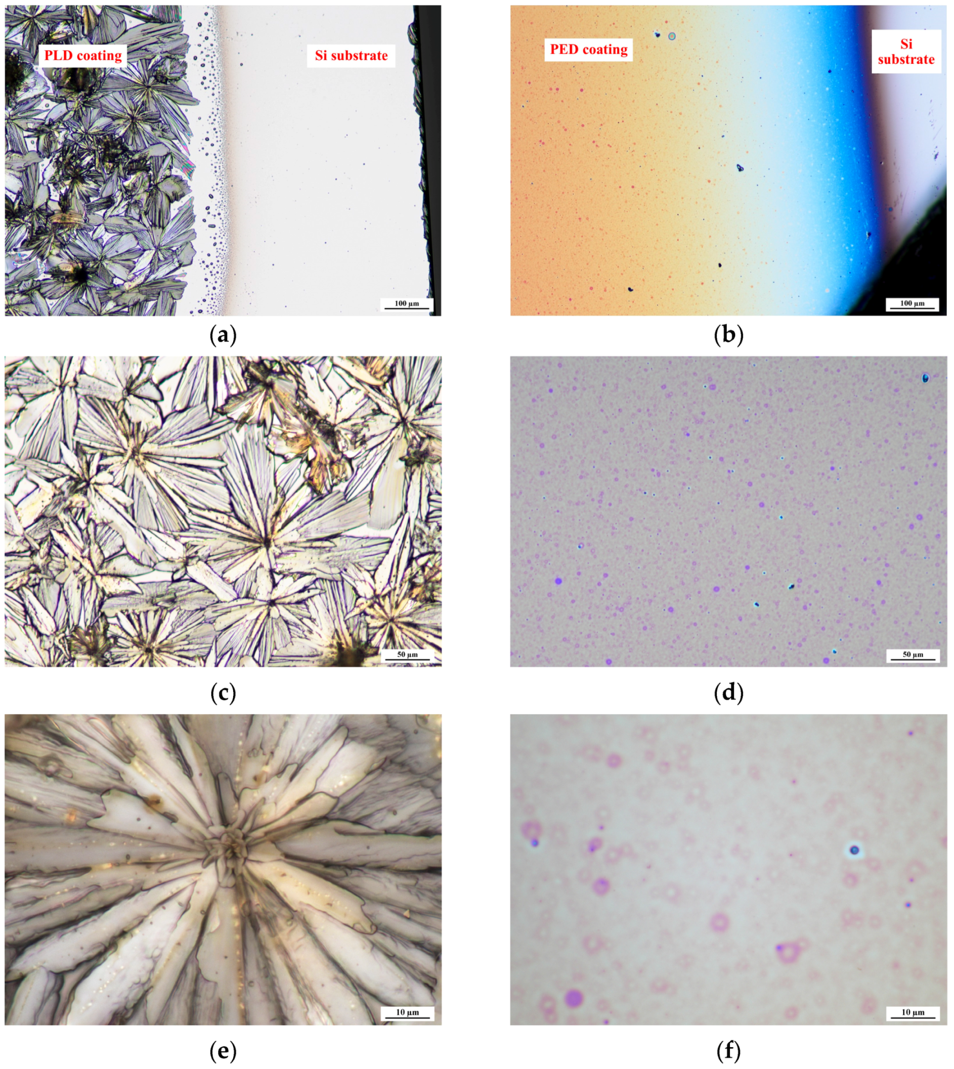 Molecules 29 05095 g001