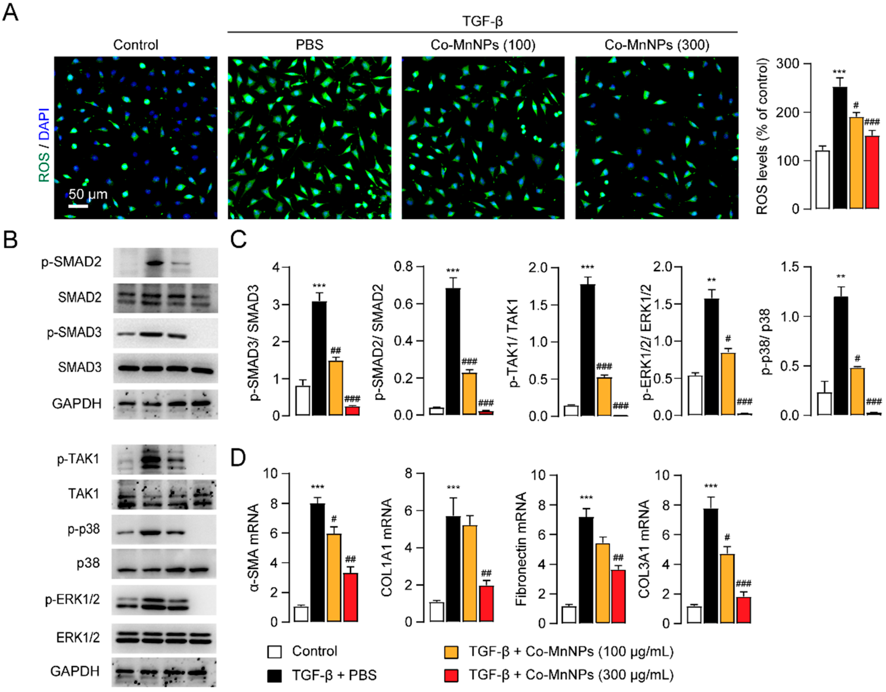 Molecules 29 05106 g003