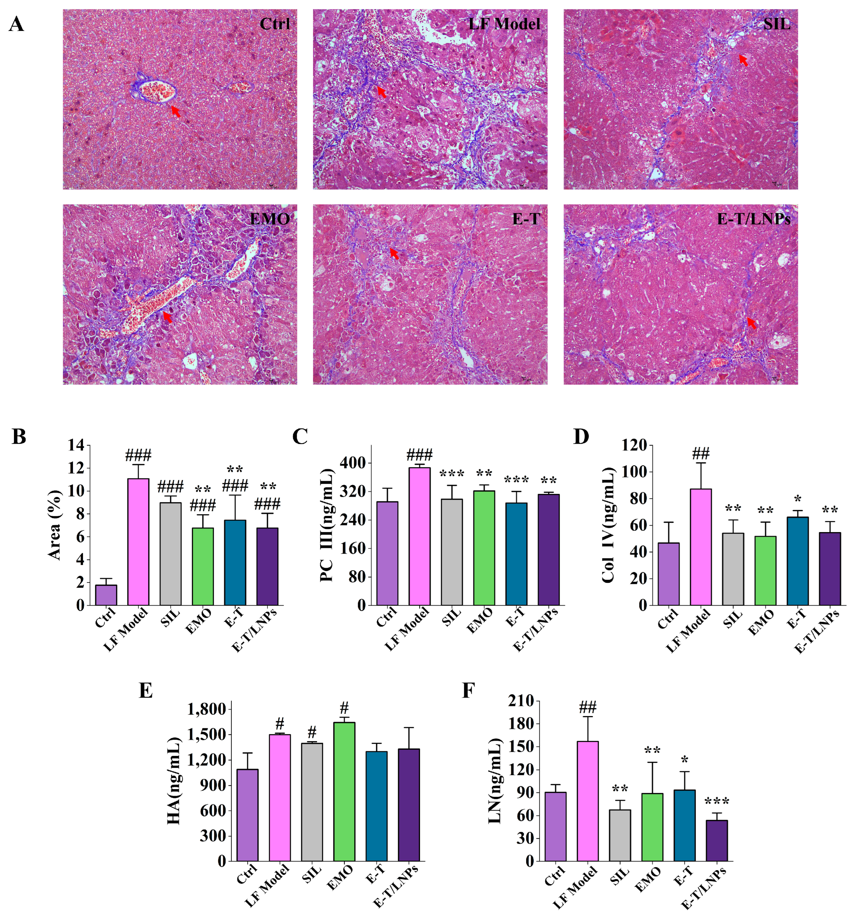 Molecules 29 05122 g004