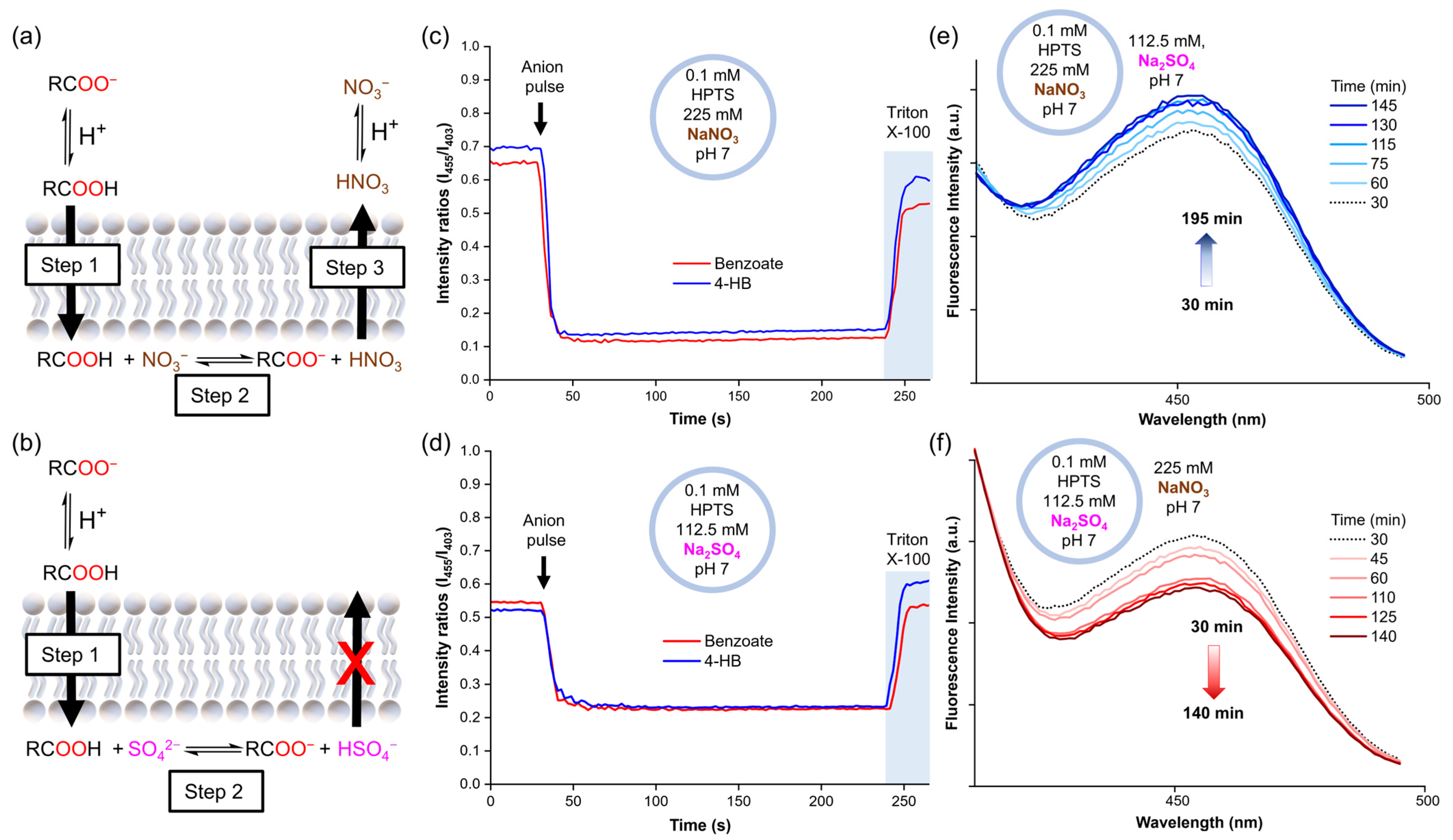 Molecules 29 05124 g004