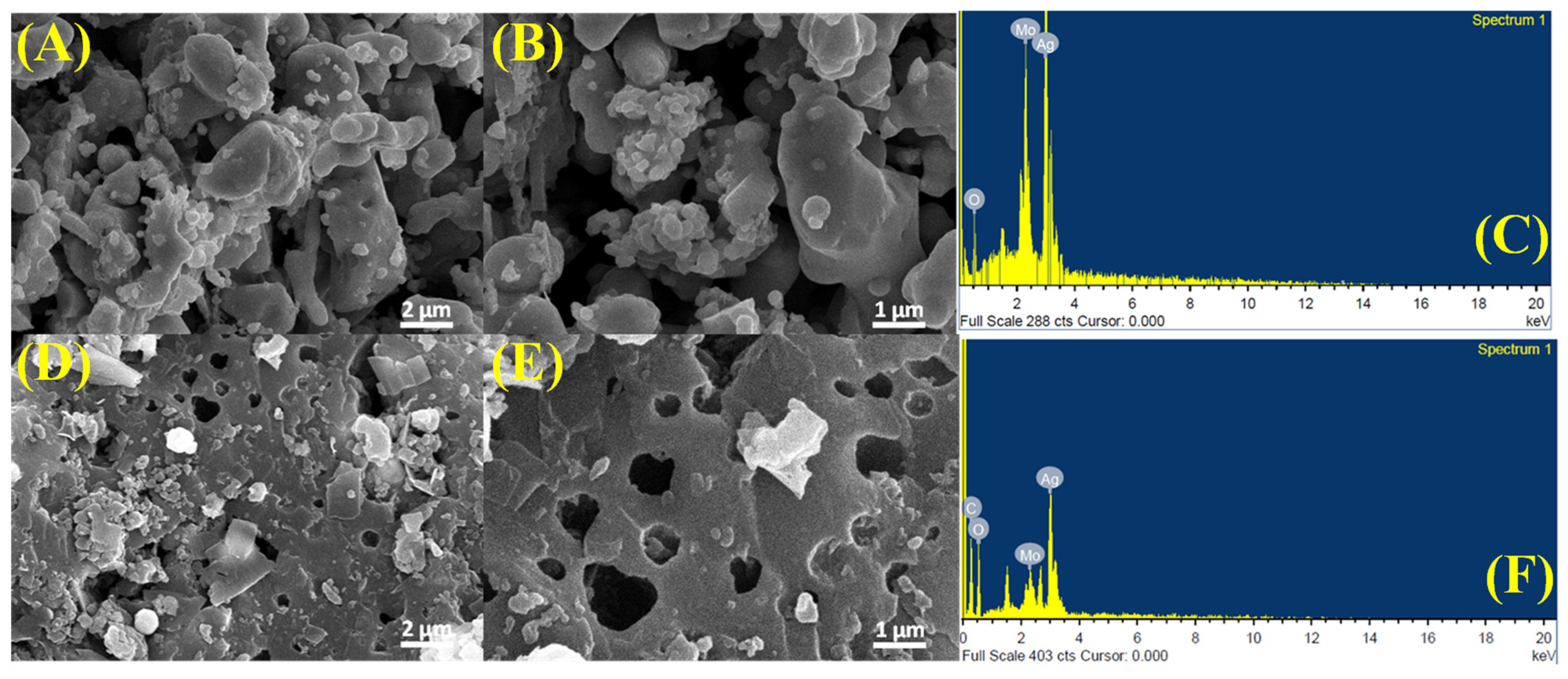 Molecules 29 05152 g003