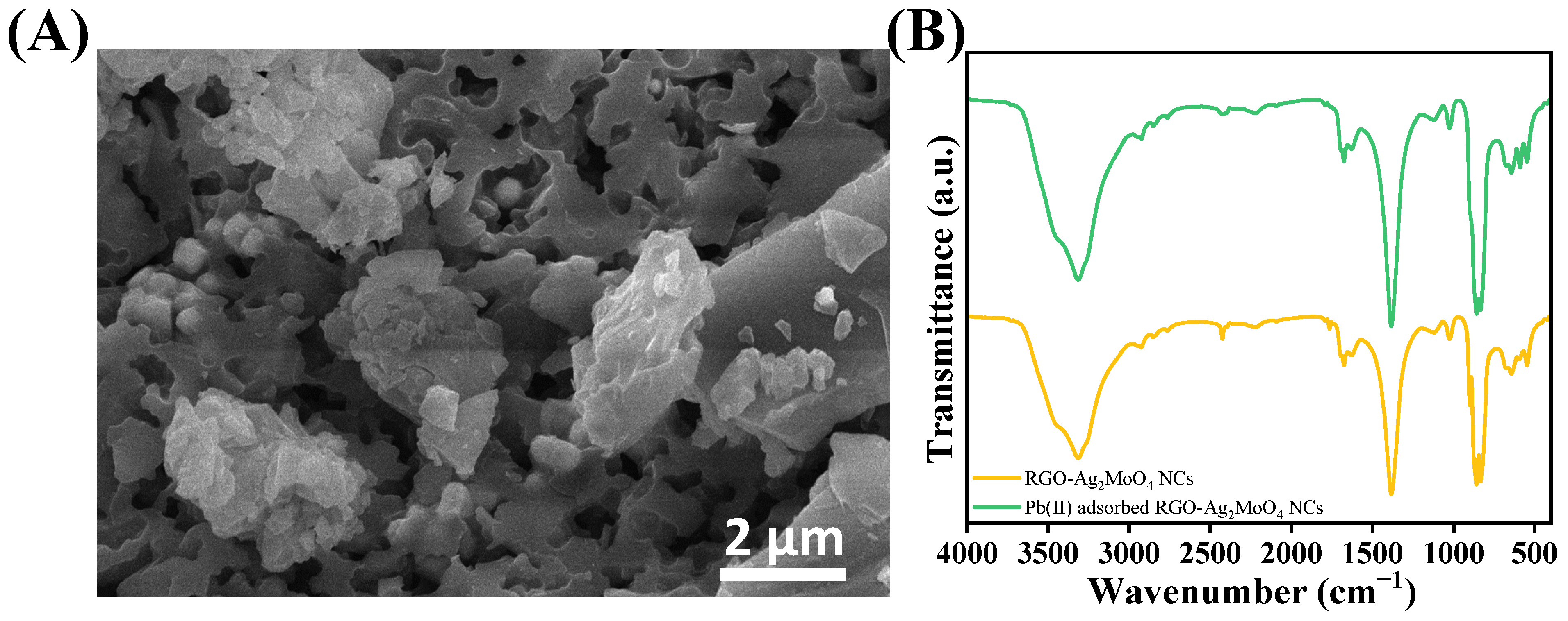 Molecules 29 05152 g008