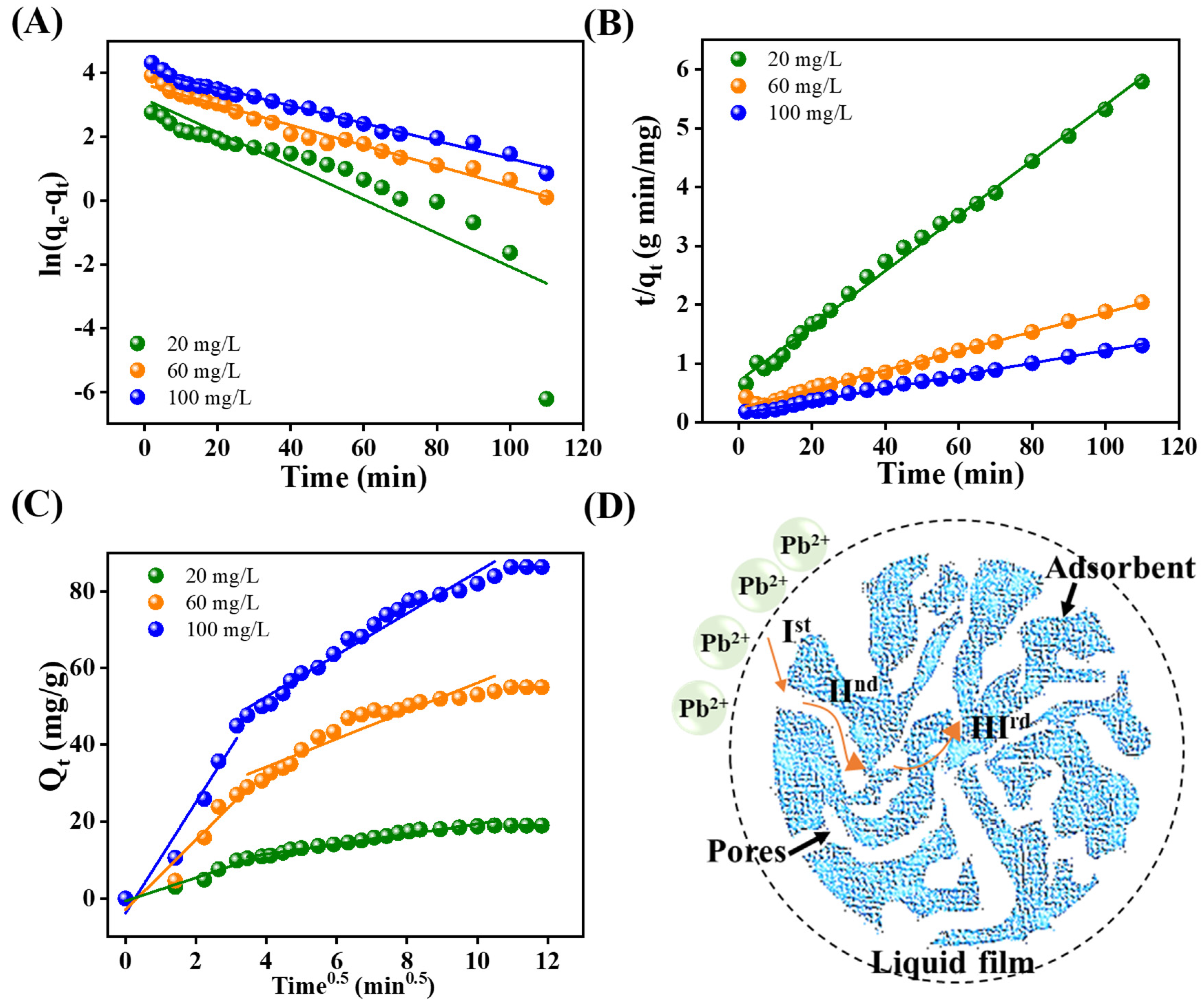 Molecules 29 05152 g010