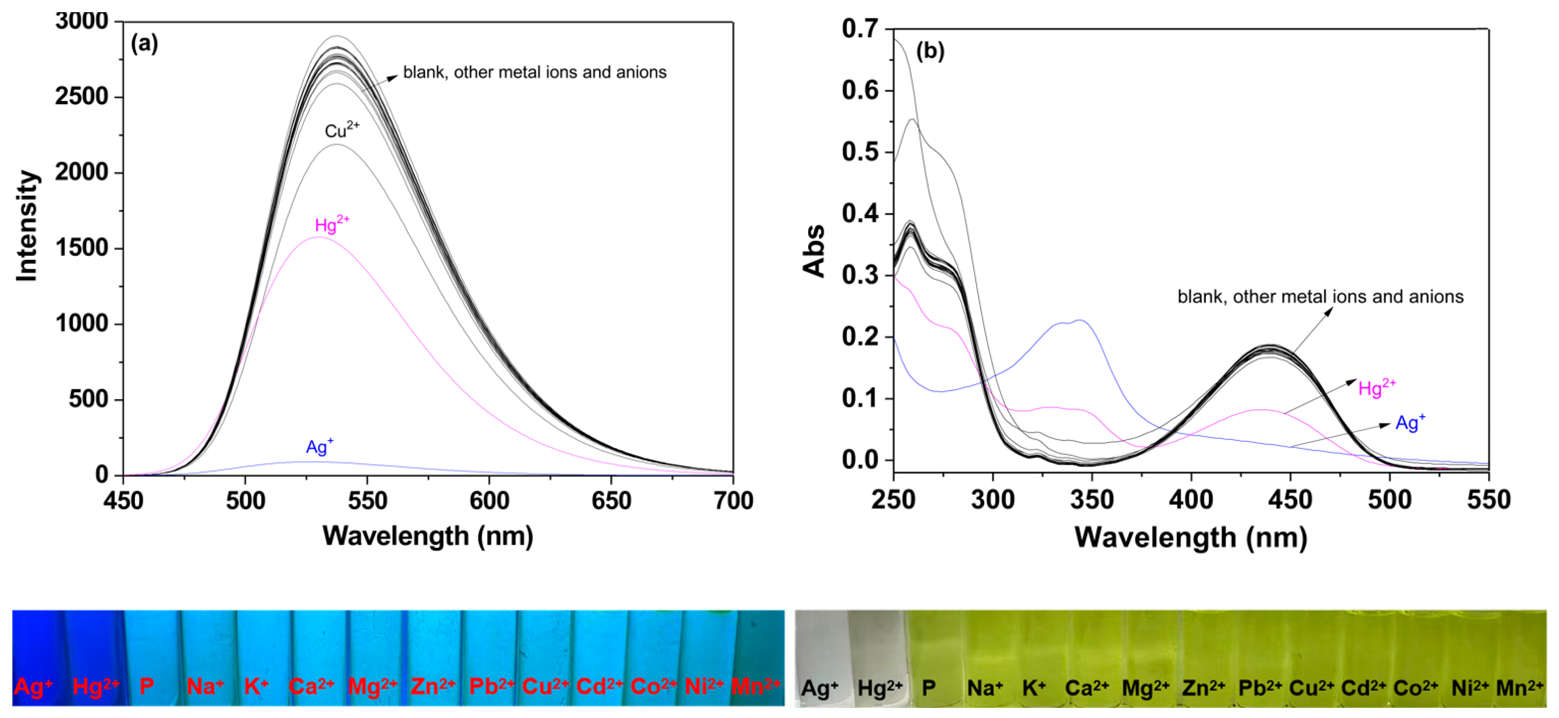 Molecules 29 05196 g001