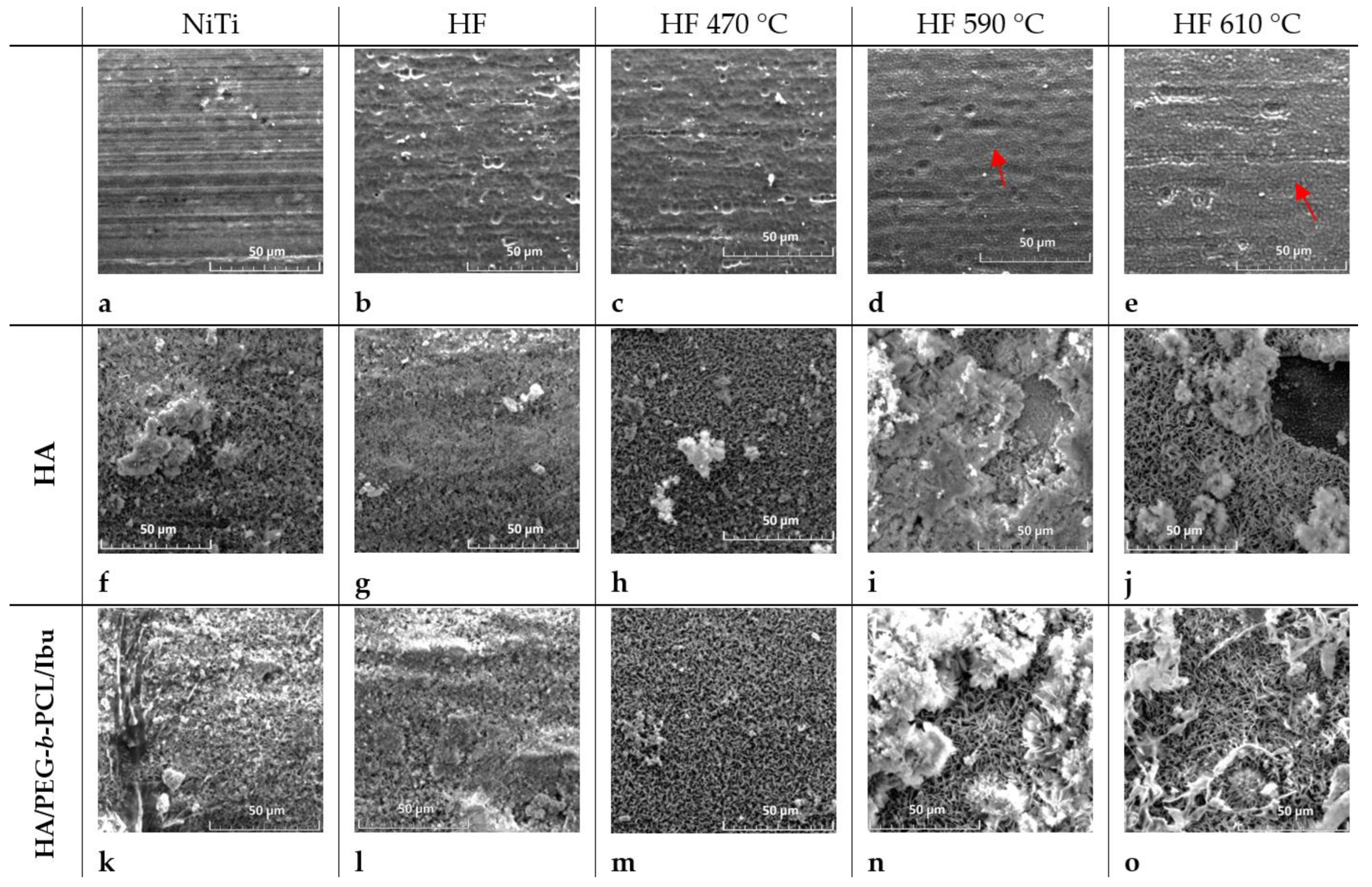 Molecules 29 05200 g001