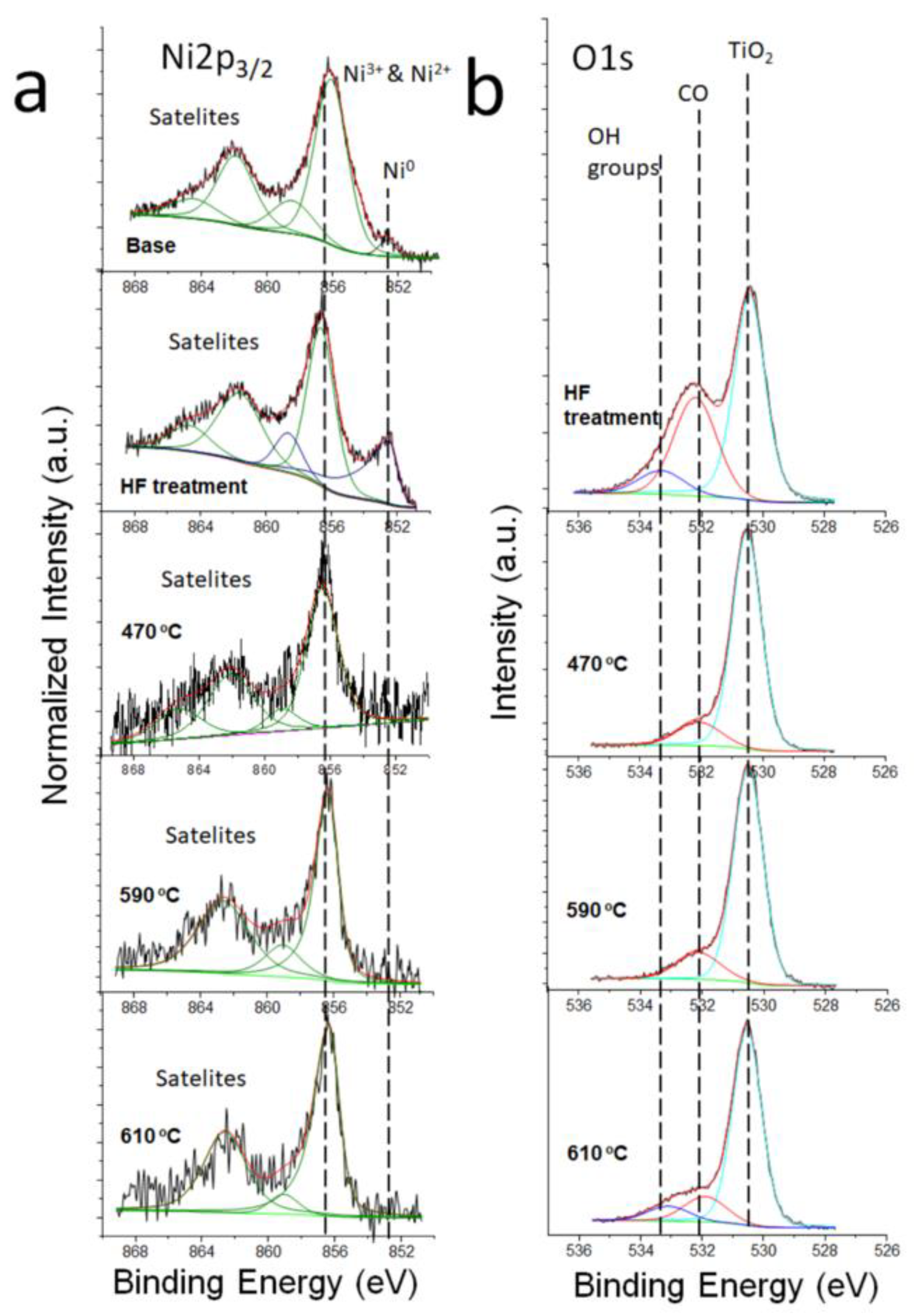 Molecules 29 05200 g004