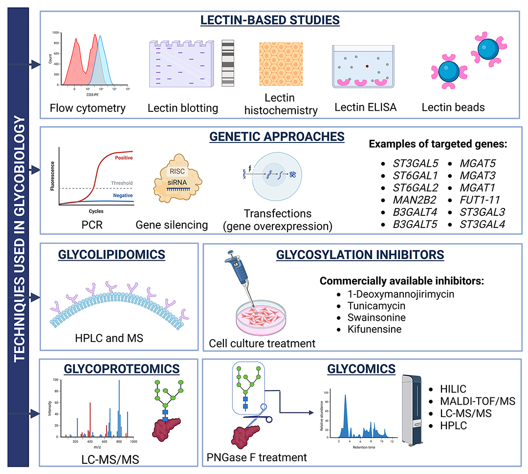 Molecules 29 05241 g004 Molecules 29 05241 g004