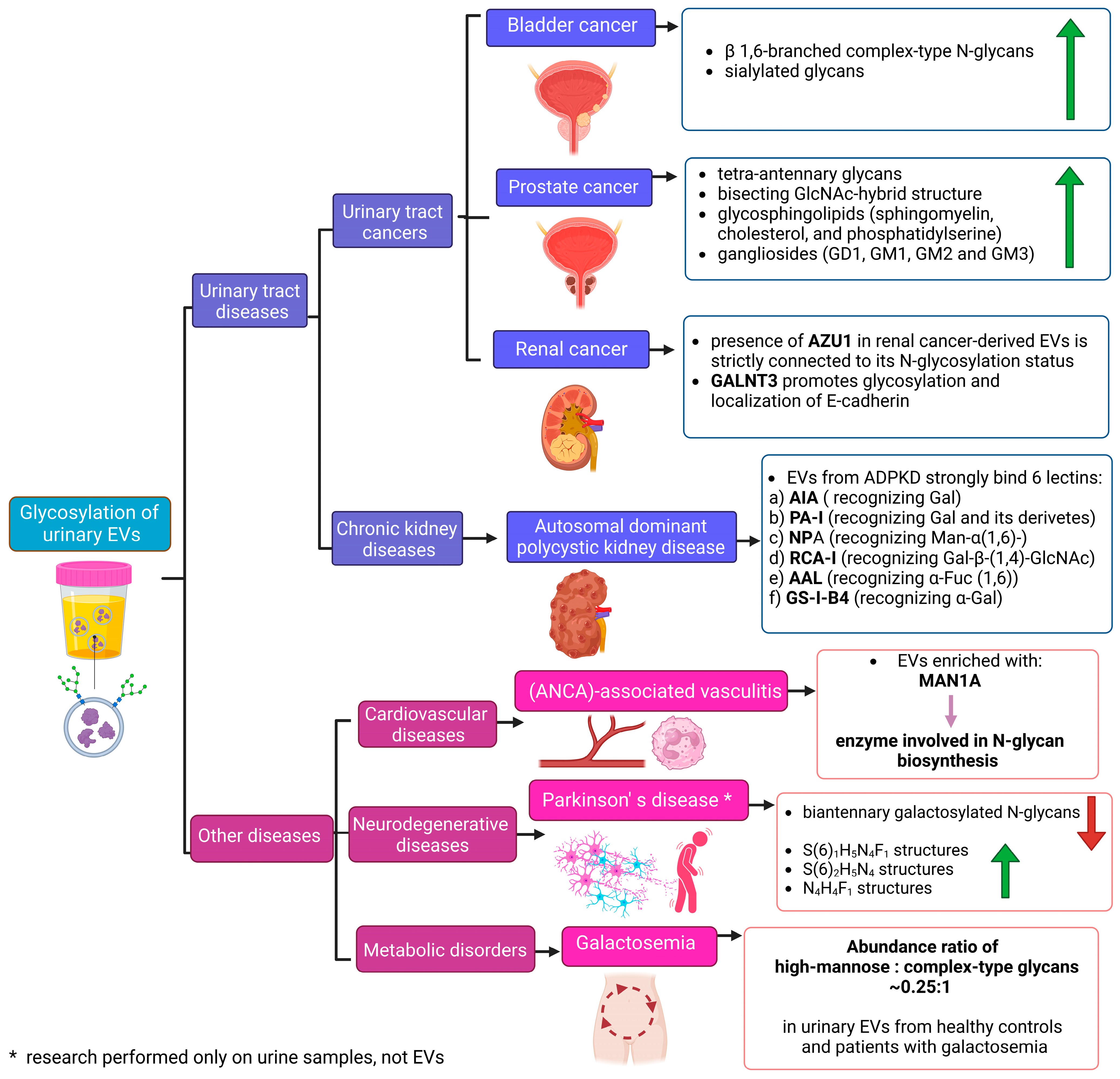 Molecules 29 05241 g005 Molecules 29 05241 g005