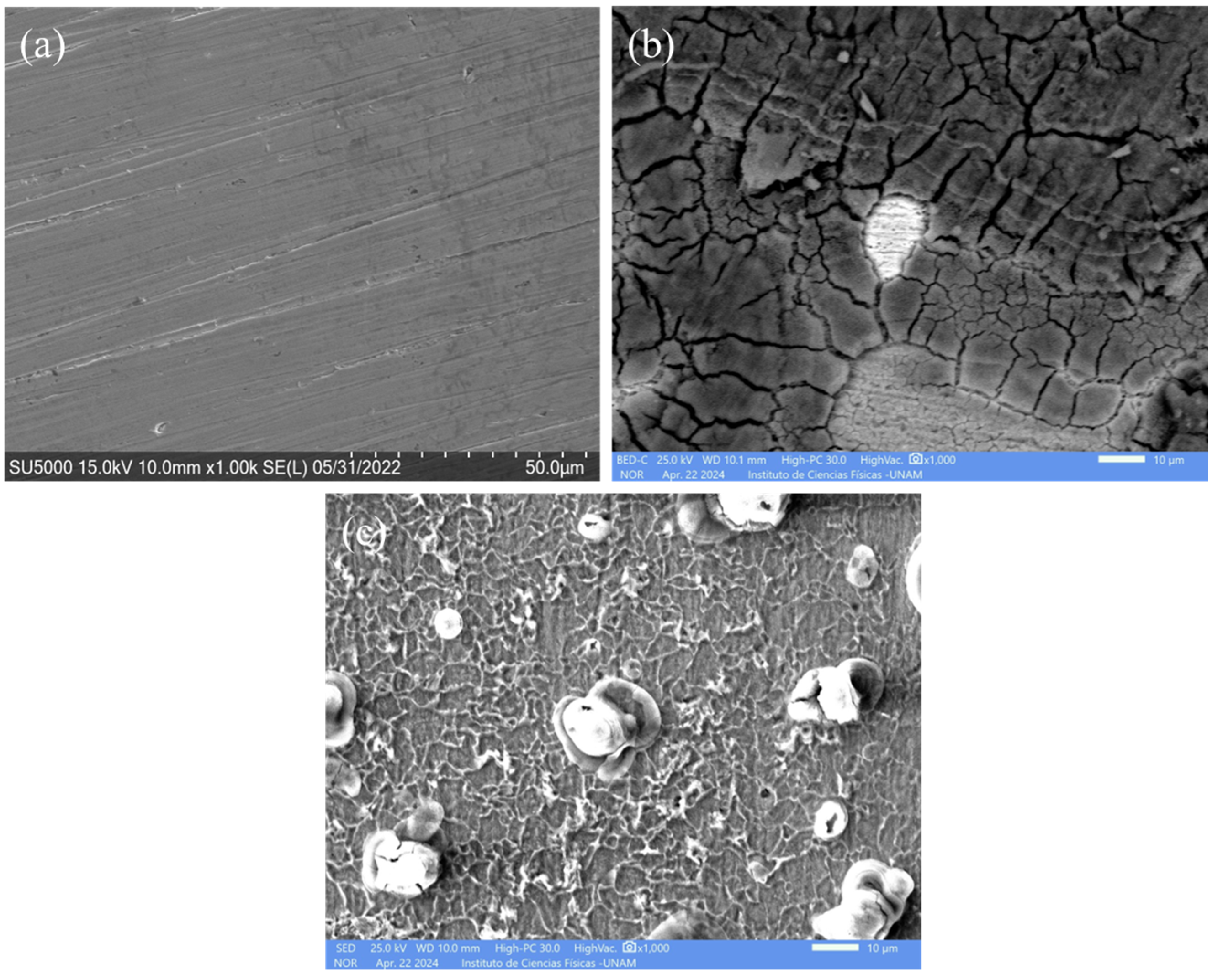 Molecules 29 05243 g009