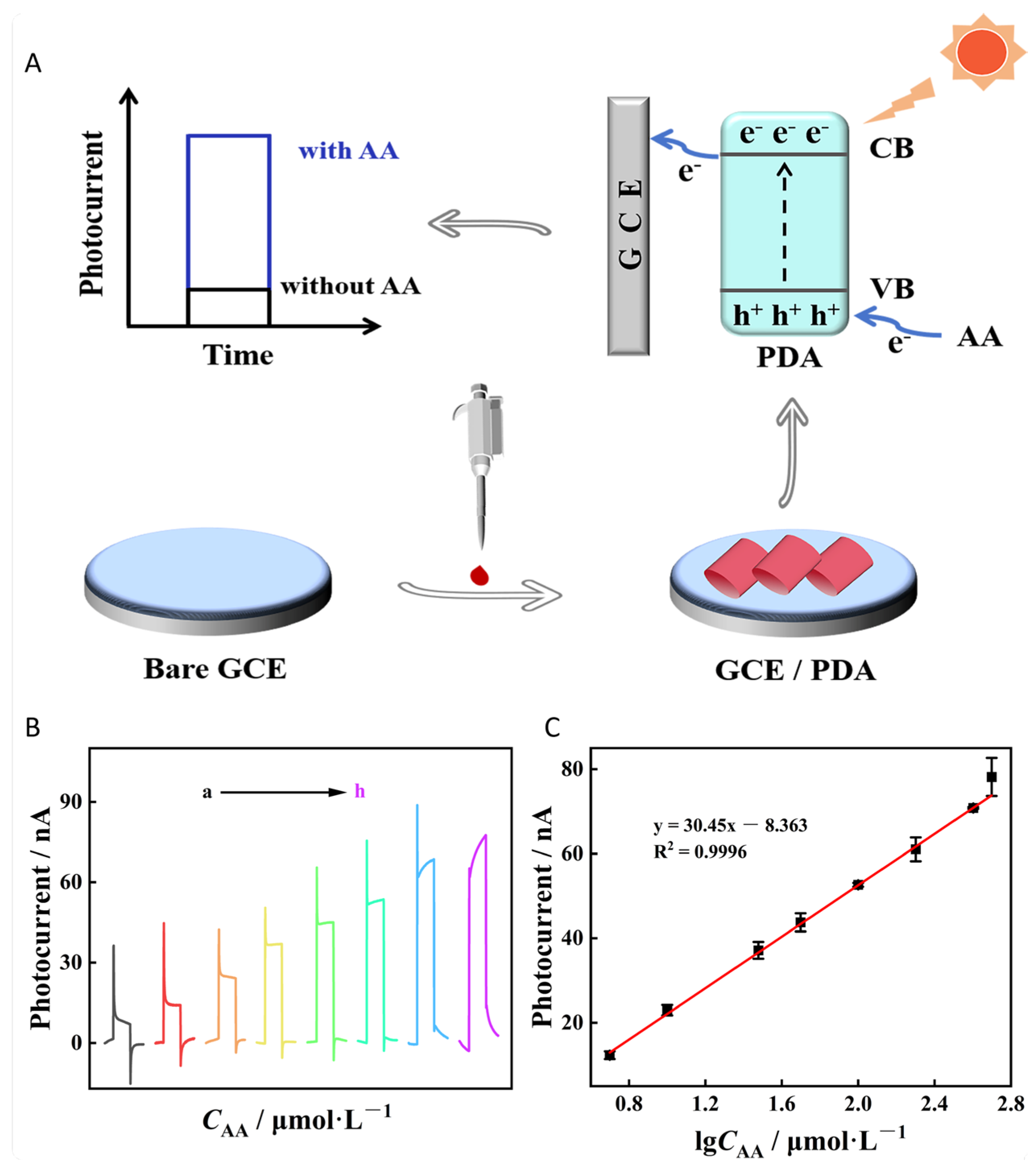 Molecules 29 05254 g004