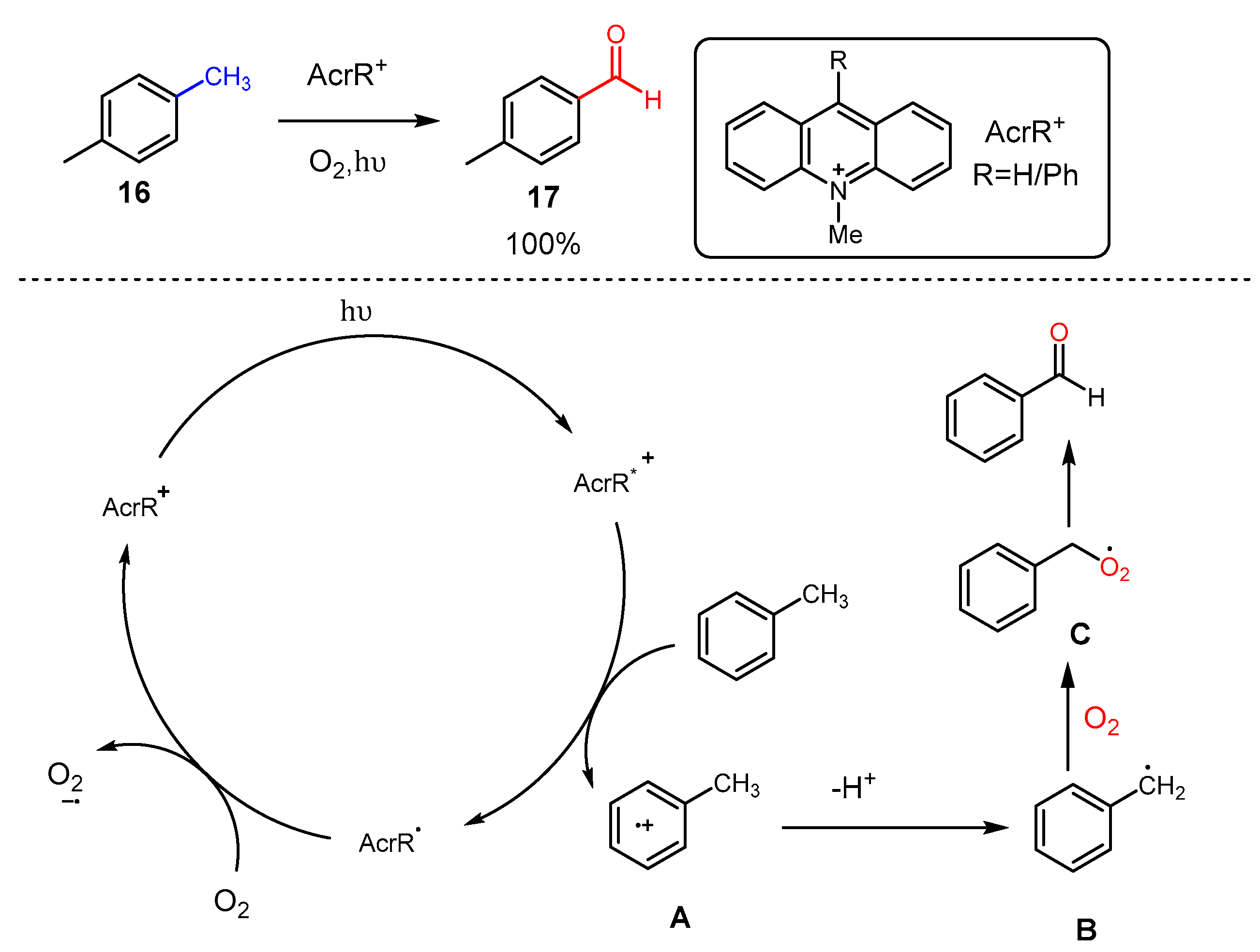 Molecules 29 05277 sch003 Molecules 29 05277 sch003