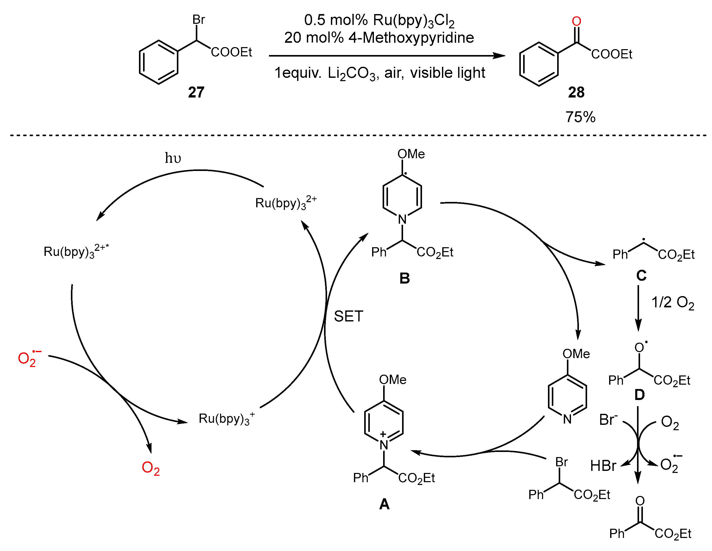 Molecules 29 05277 sch006 Molecules 29 05277 sch006