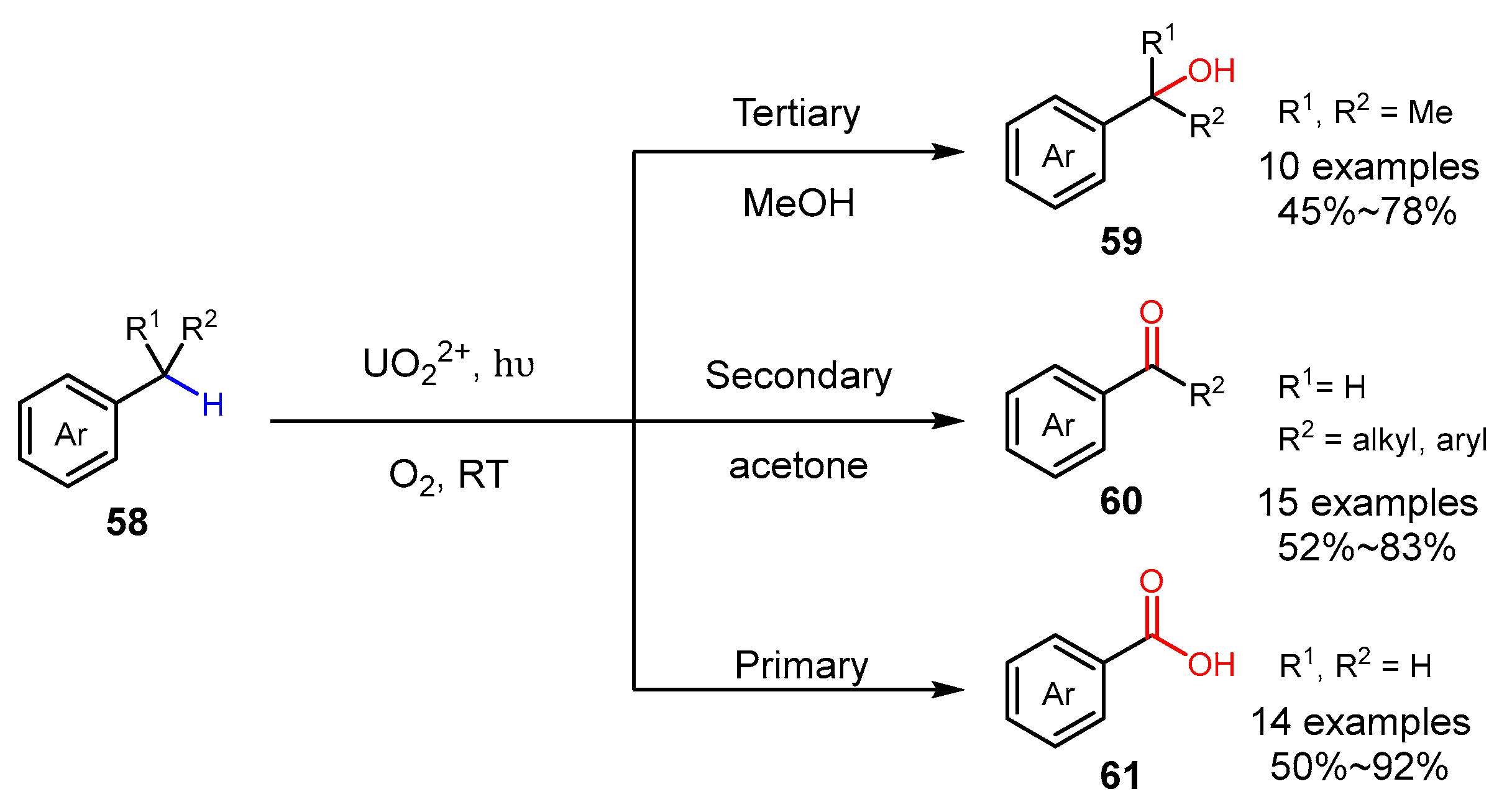 Molecules 29 05277 sch015 Molecules 29 05277 sch015