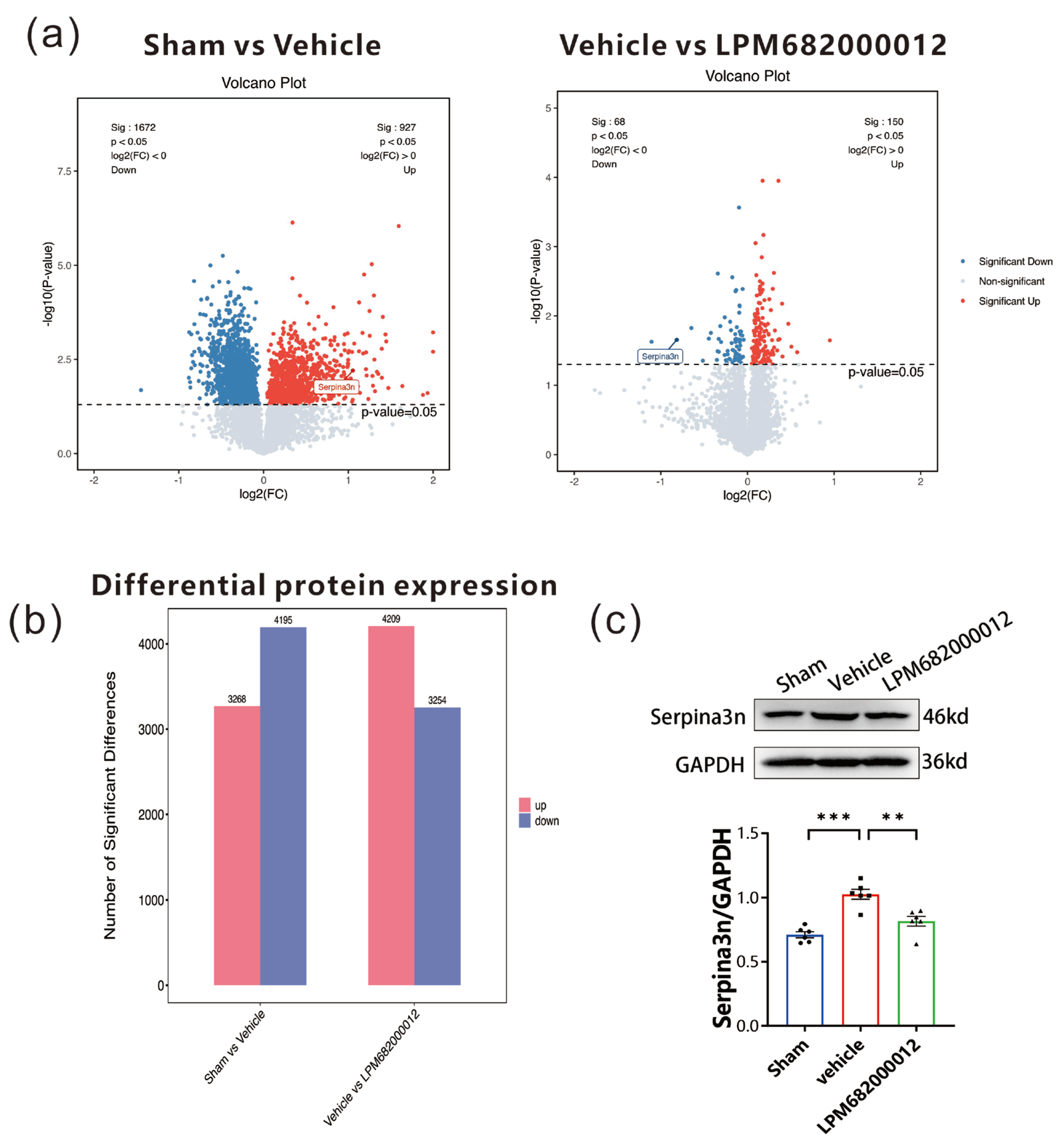 Molecules 29 05286 g009