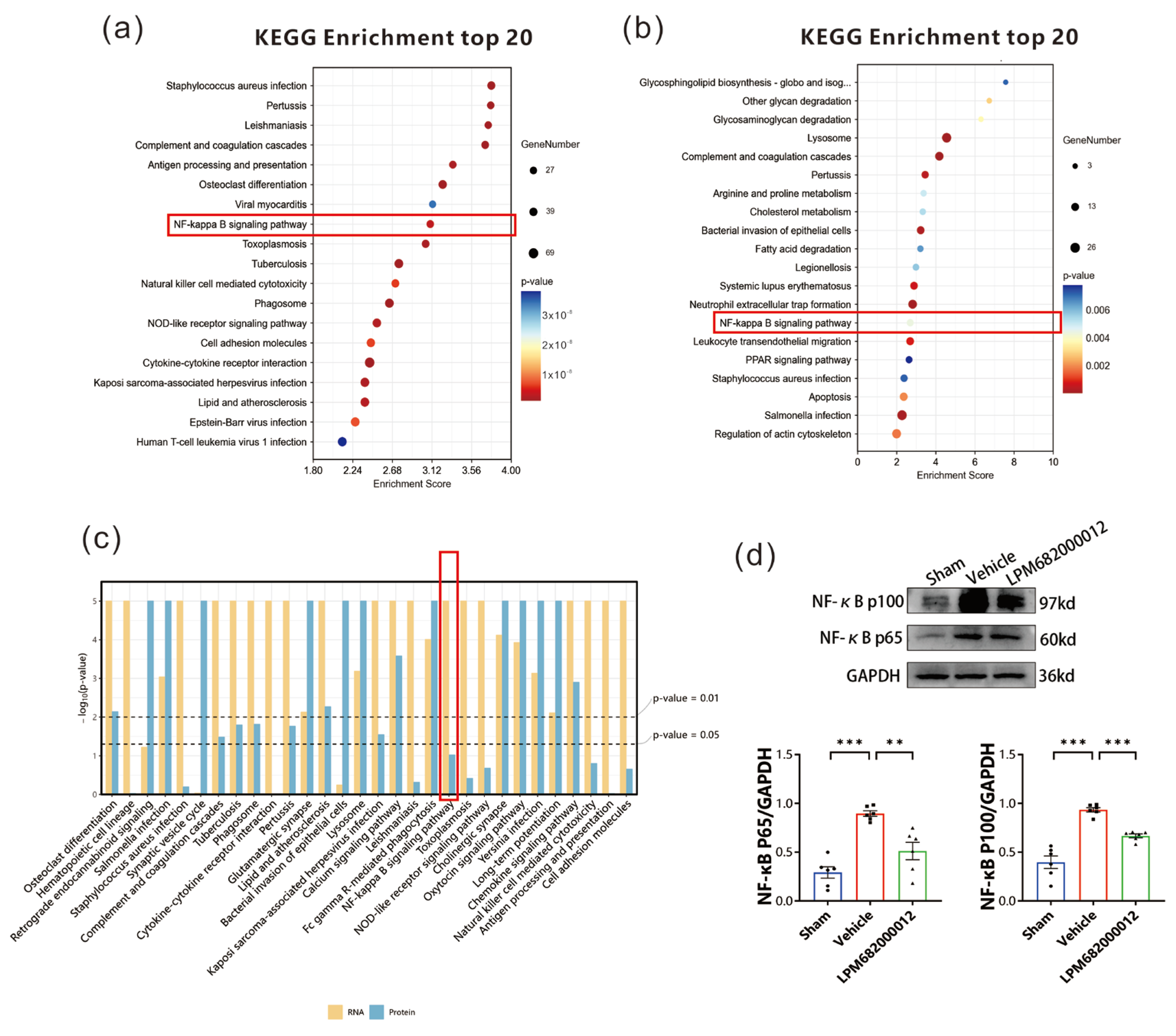 Molecules 29 05286 g010