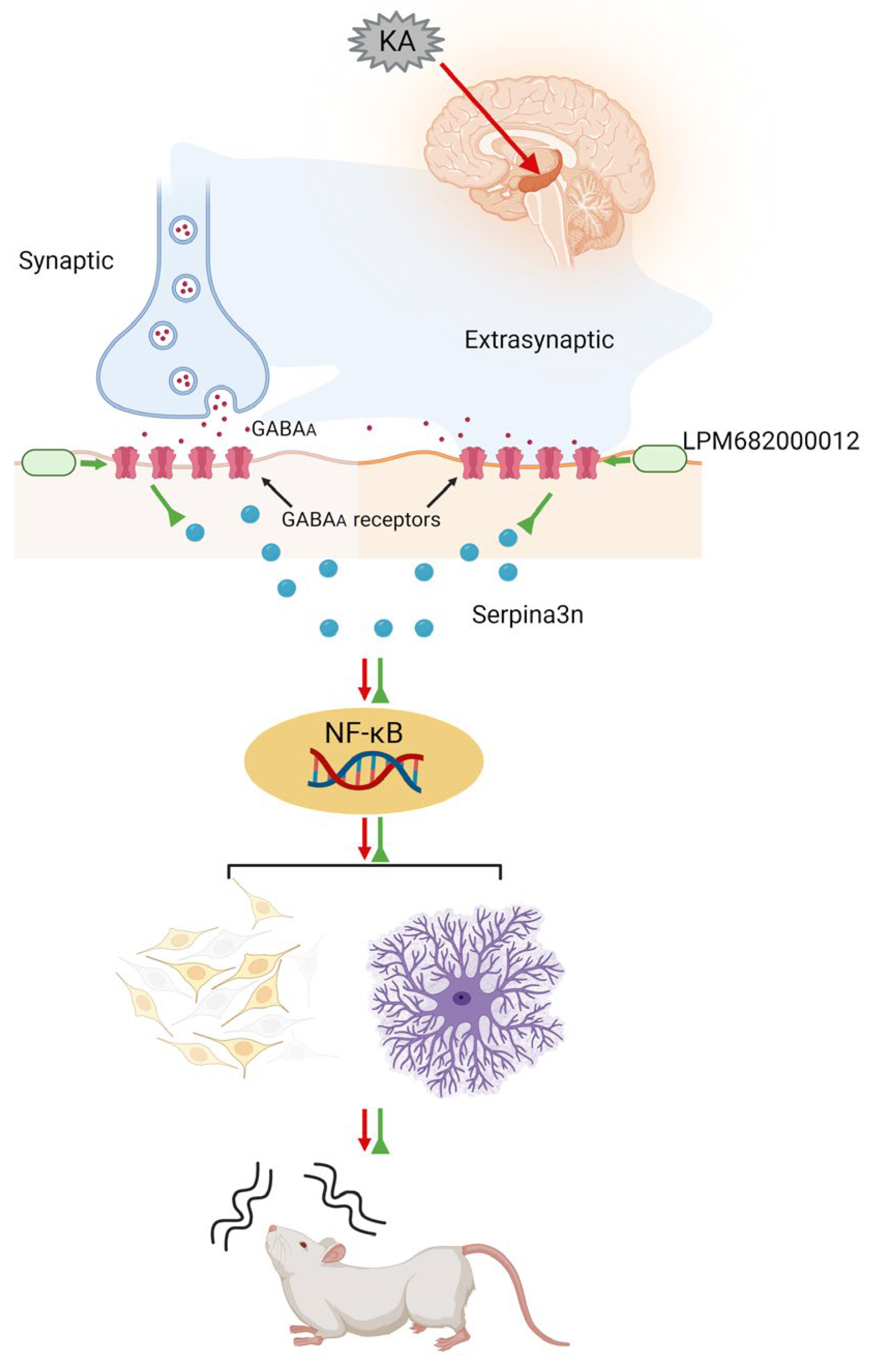Molecules 29 05286 g011