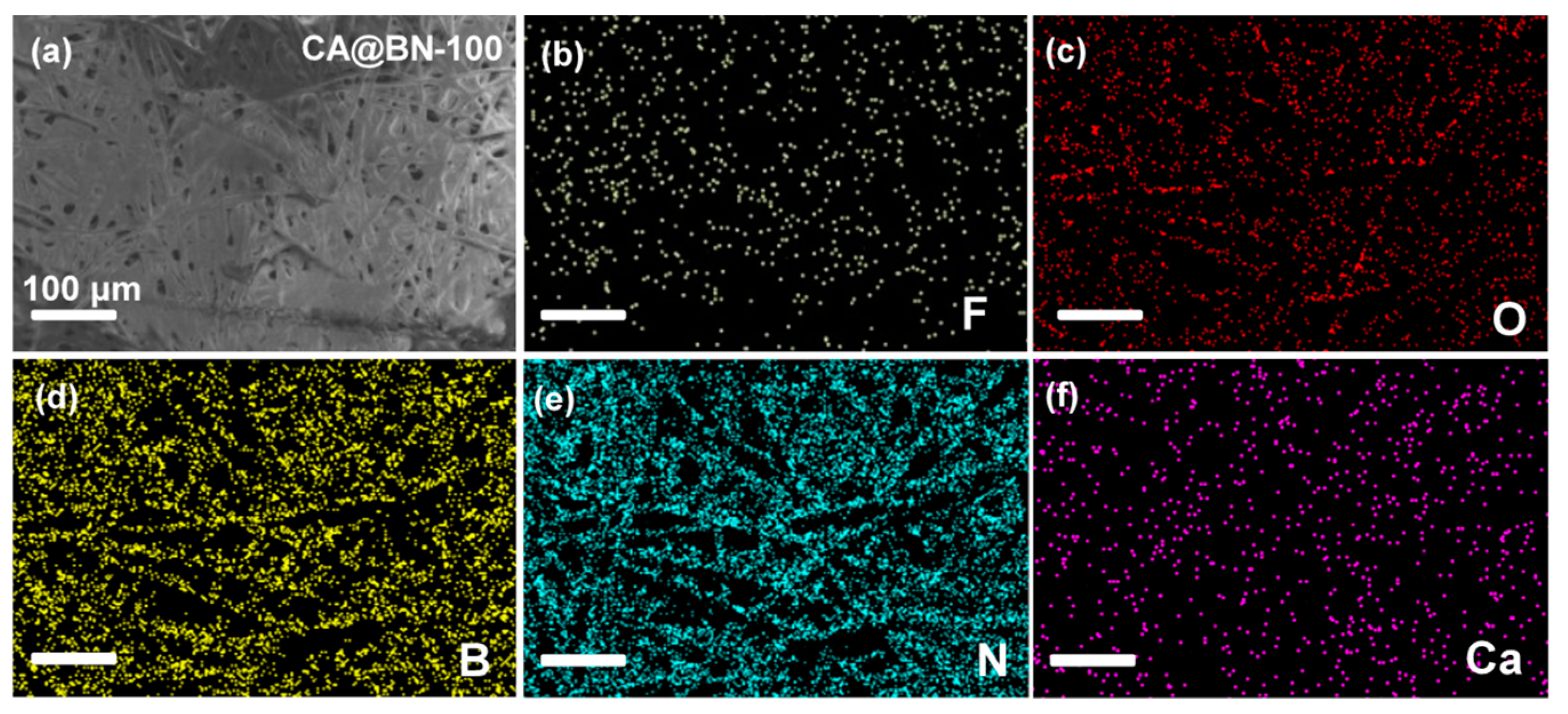Molecules 29 05311 g001