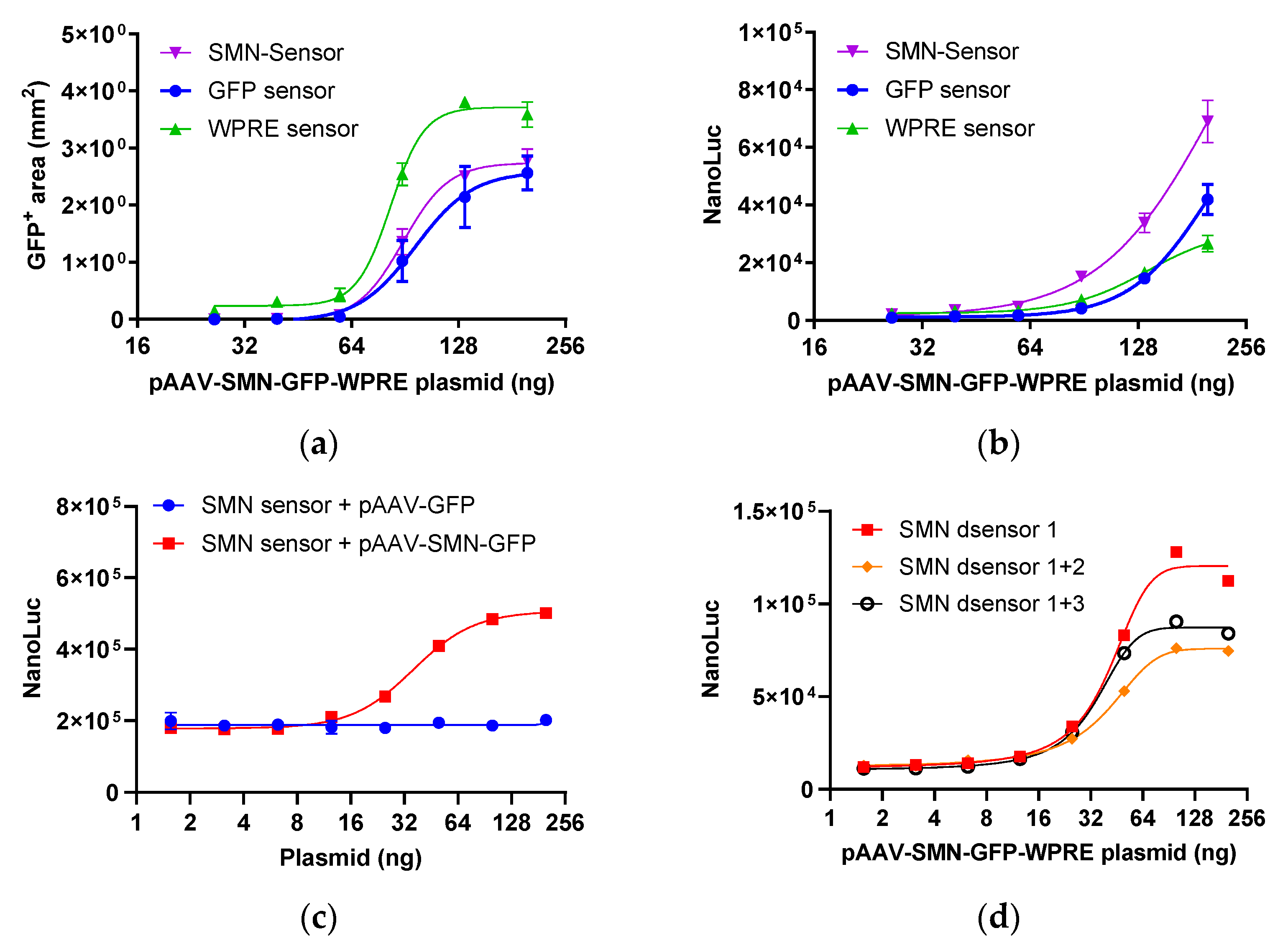 Molecules 29 05312 g002