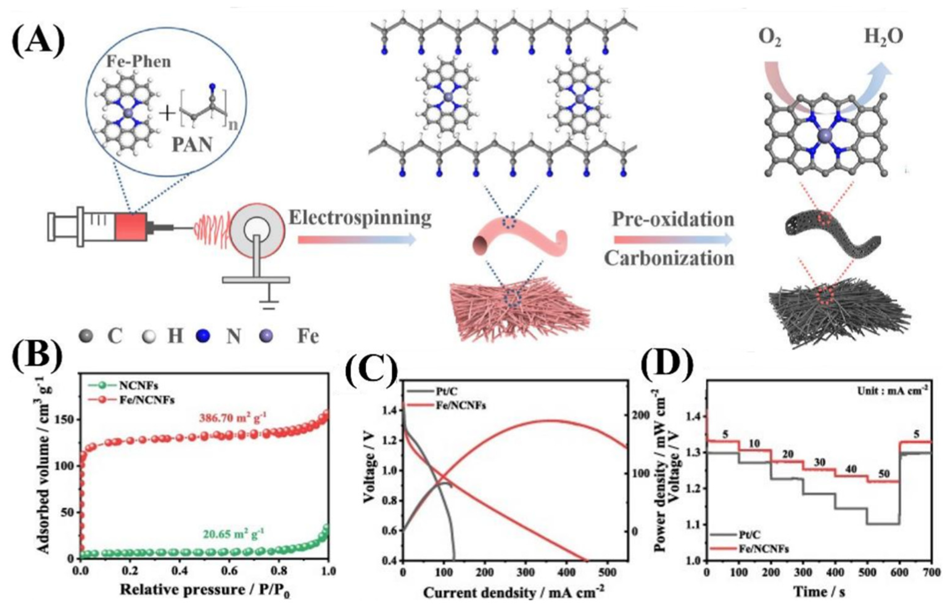 Molecules 29 05313 g004
