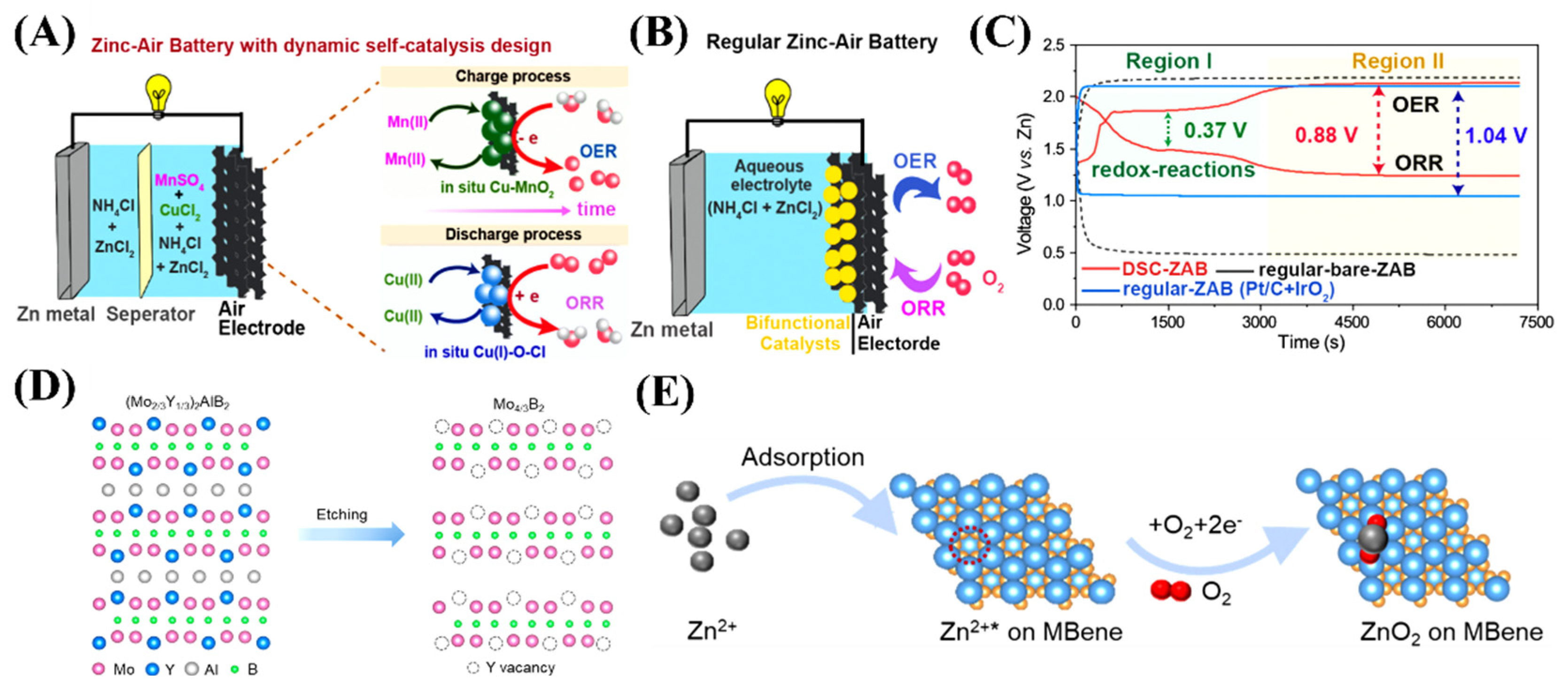 Molecules 29 05313 g005