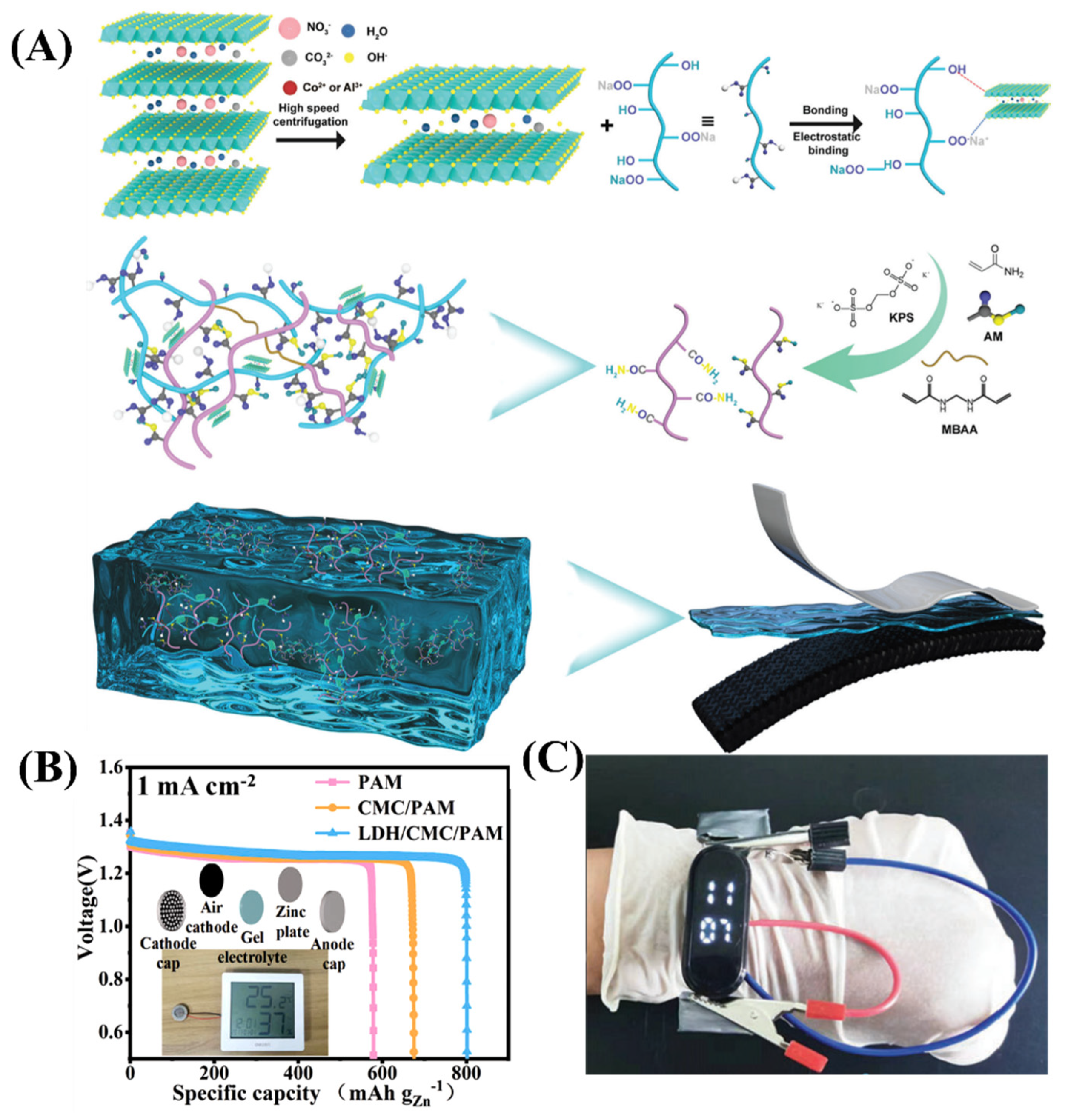 Molecules 29 05313 g006