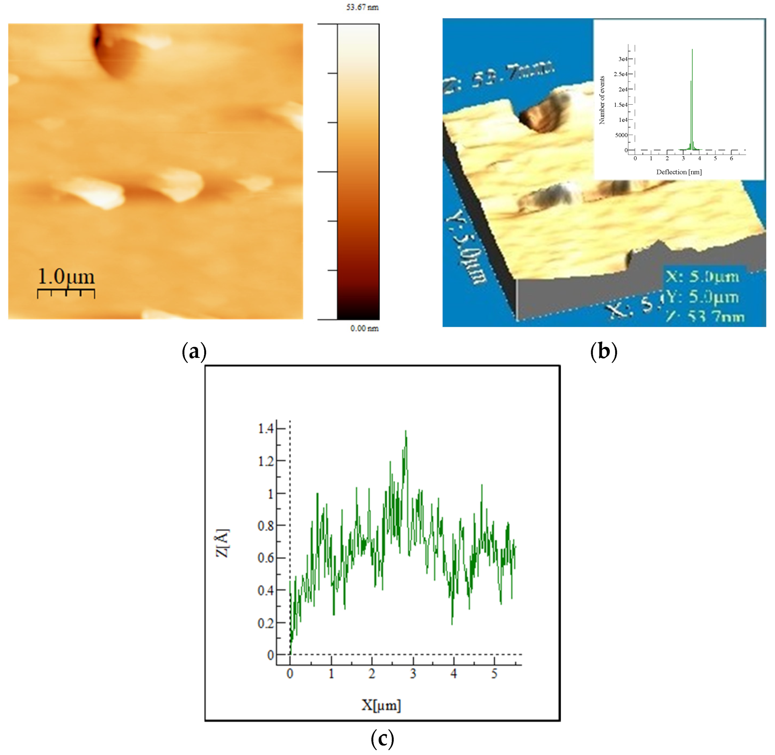 Molecules 29 05322 g004