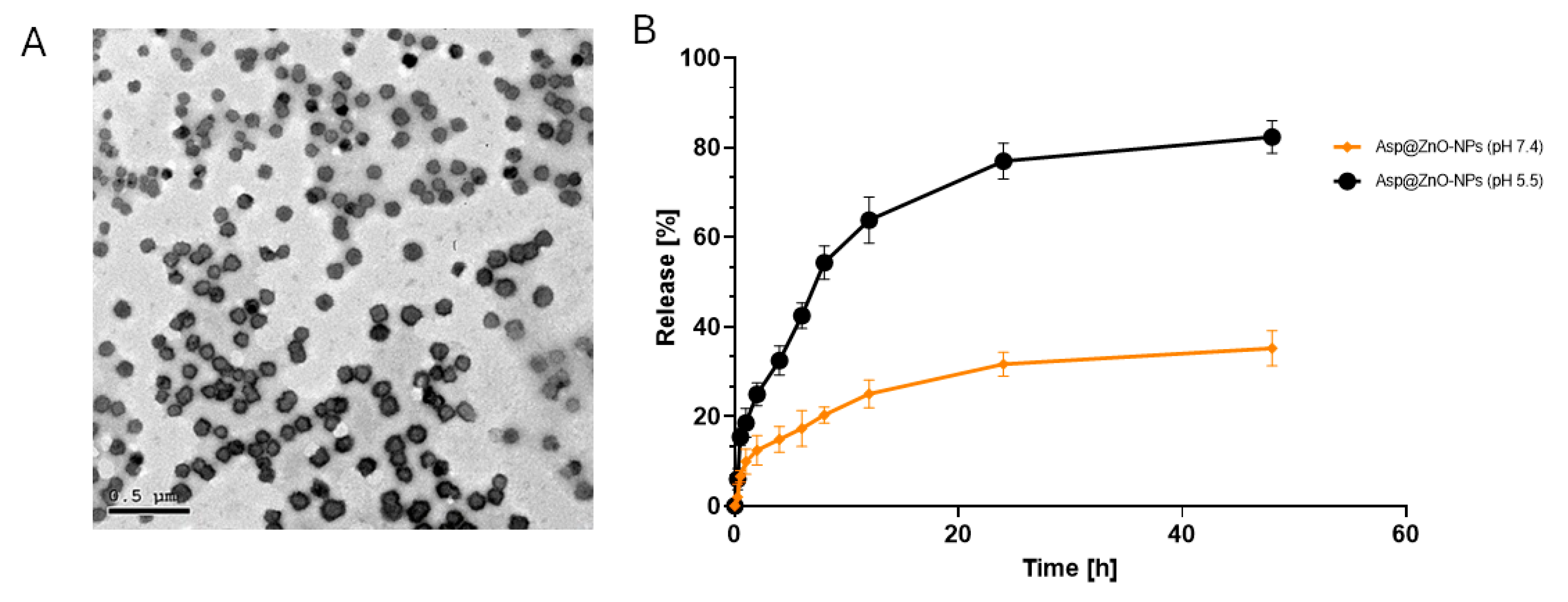 Molecules 29 05327 g002
