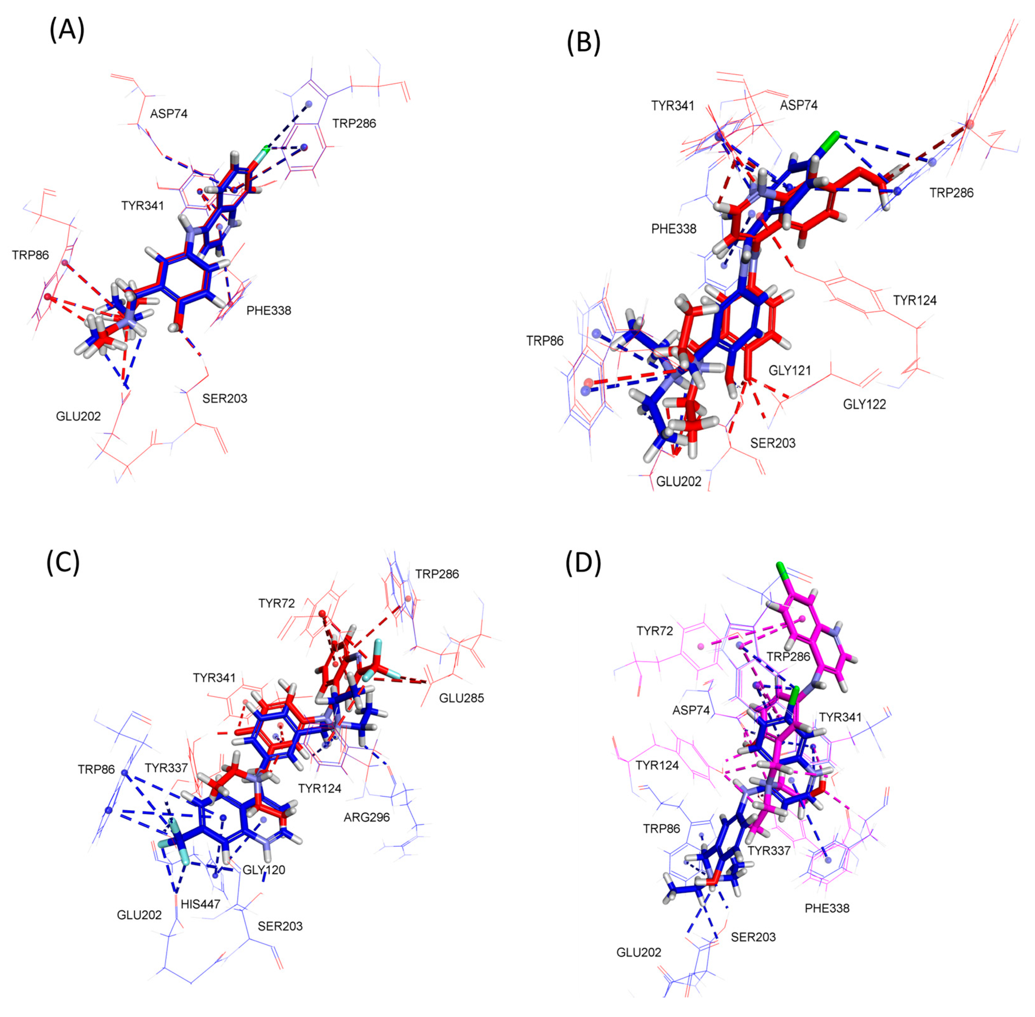 Molecules 29 05357 g002