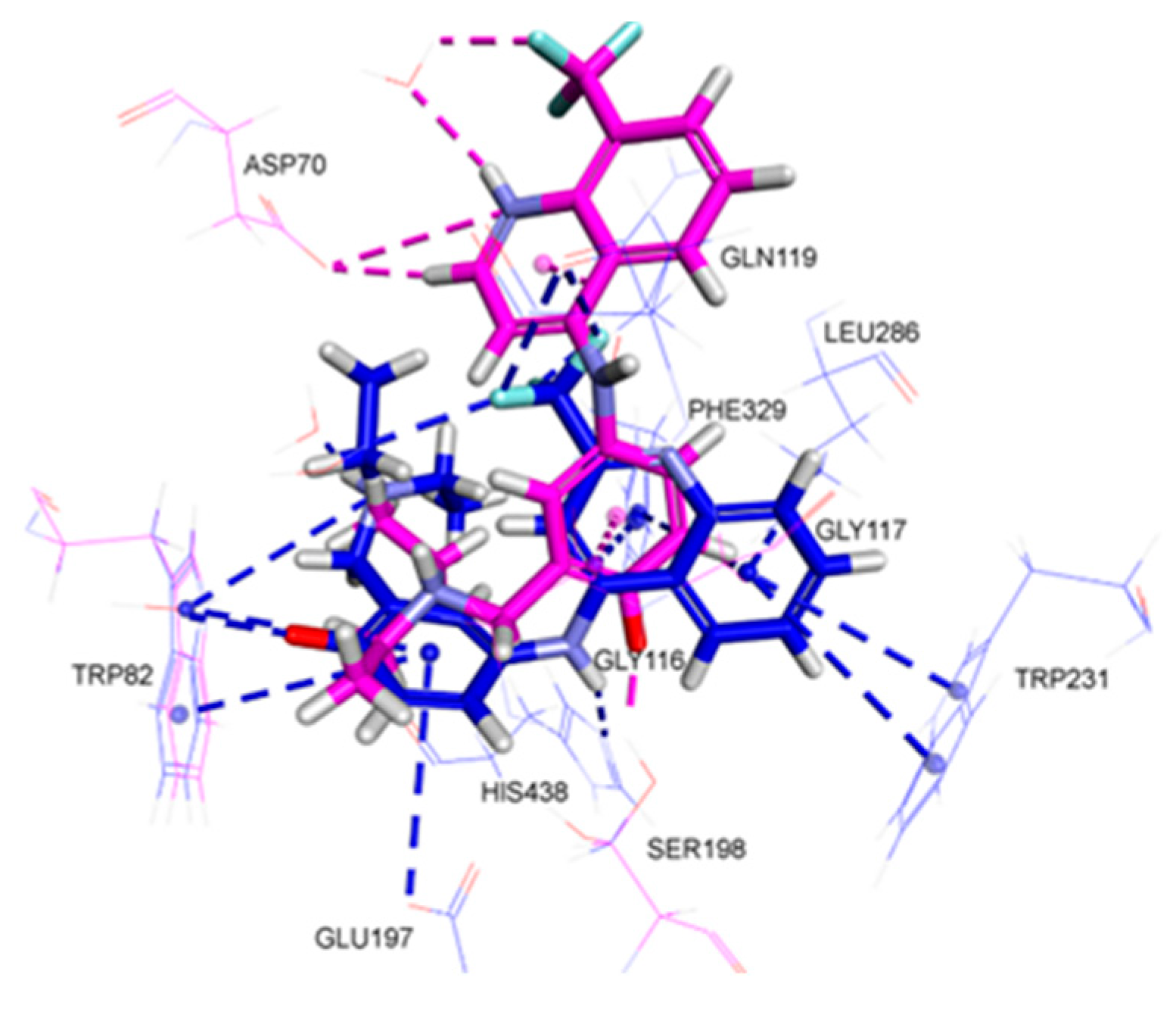 Molecules 29 05357 g003
