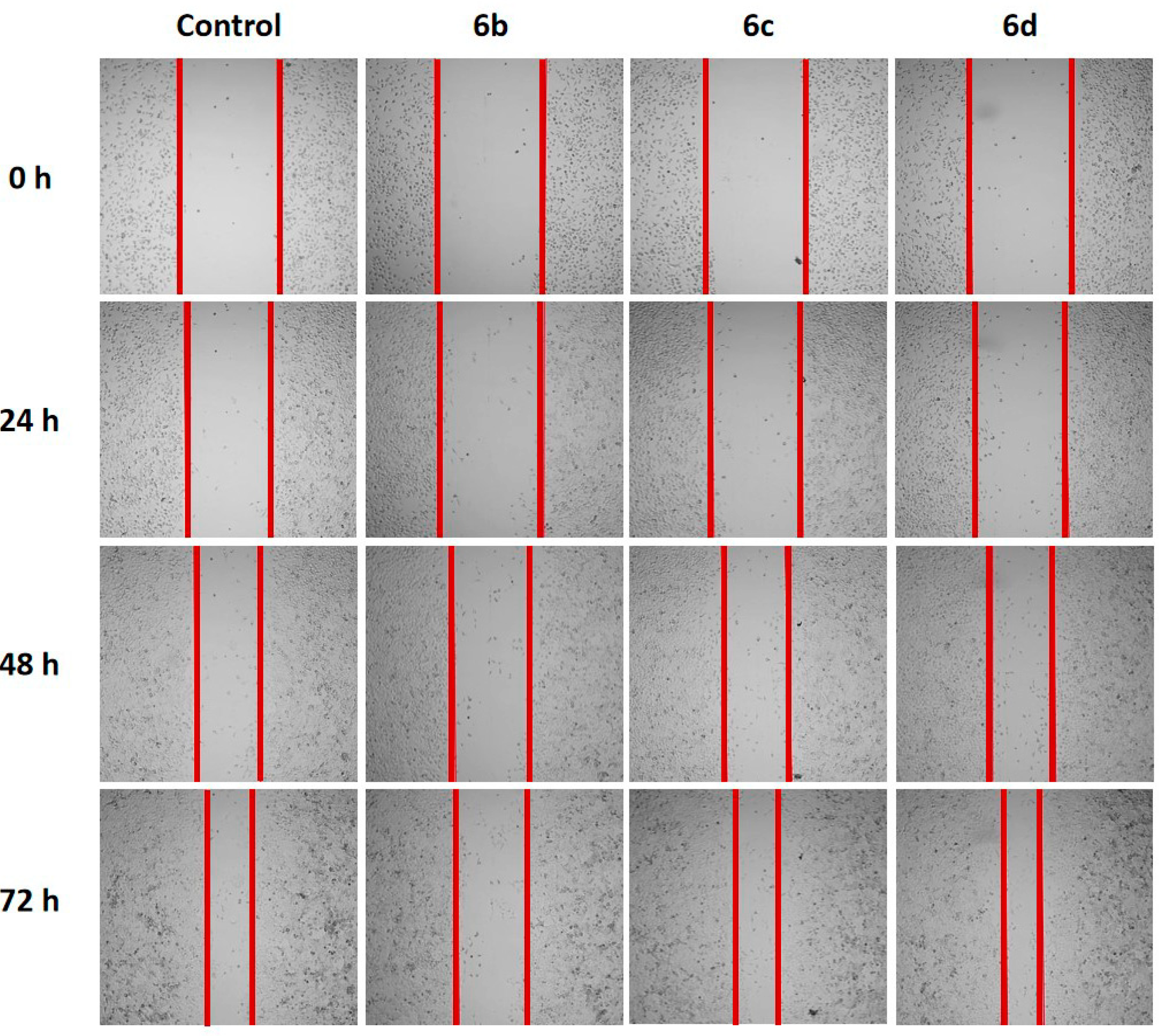 Molecules 29 05360 g004 Molecules 29 05360 g004