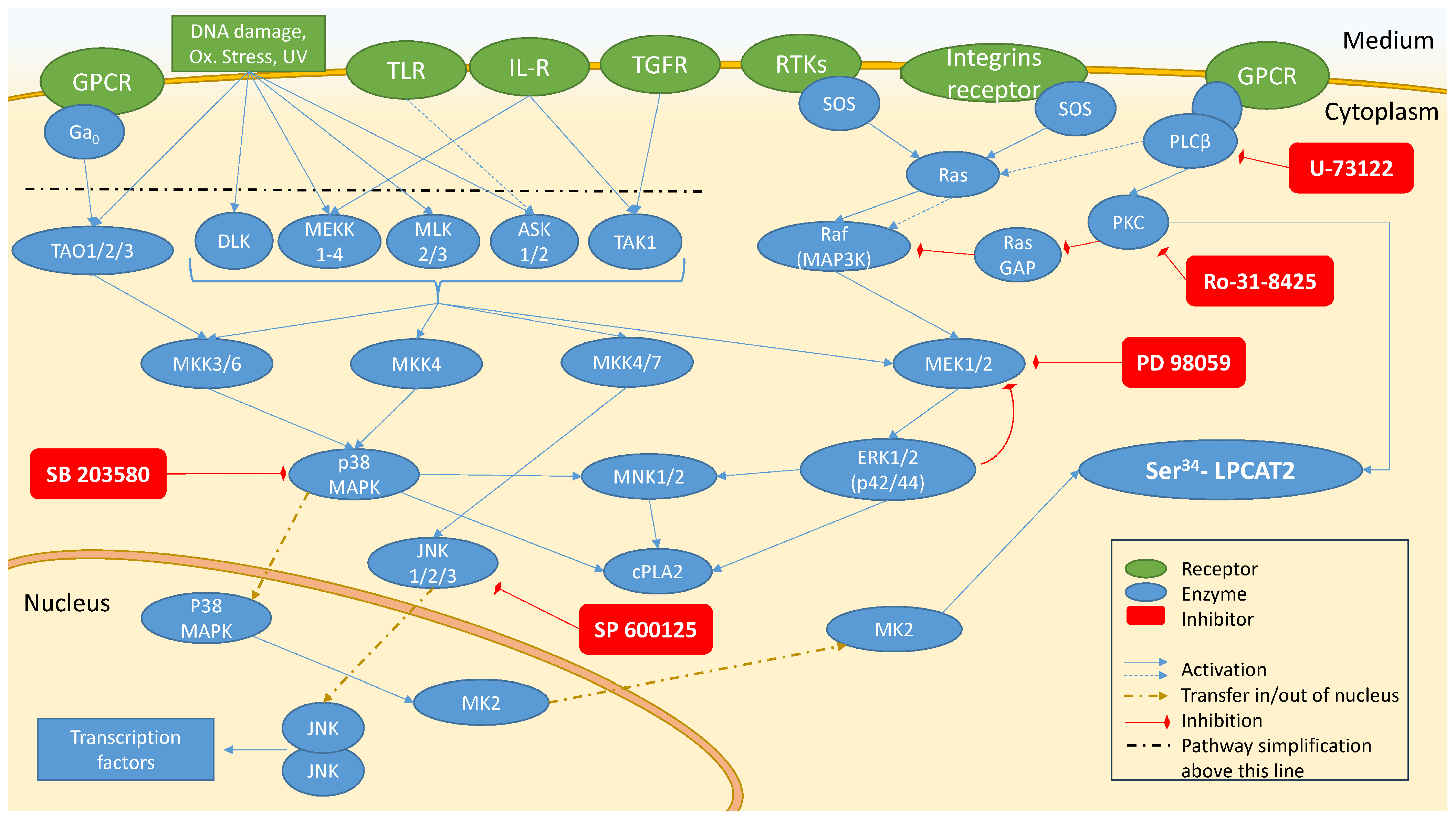 Molecules 29 05419 g001