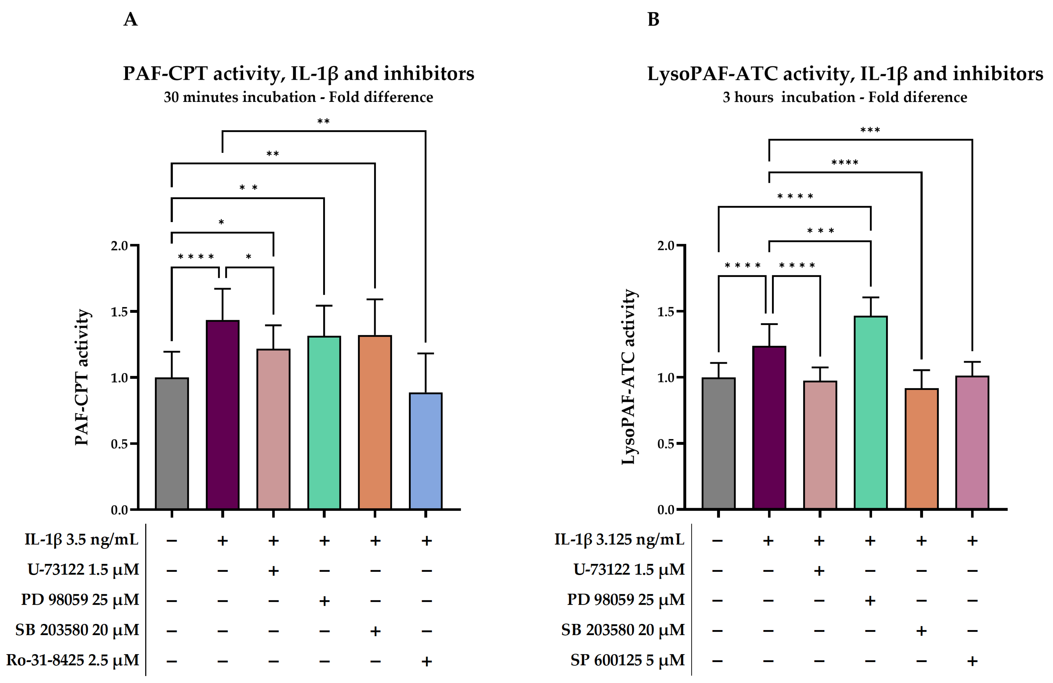 Molecules 29 05419 g002