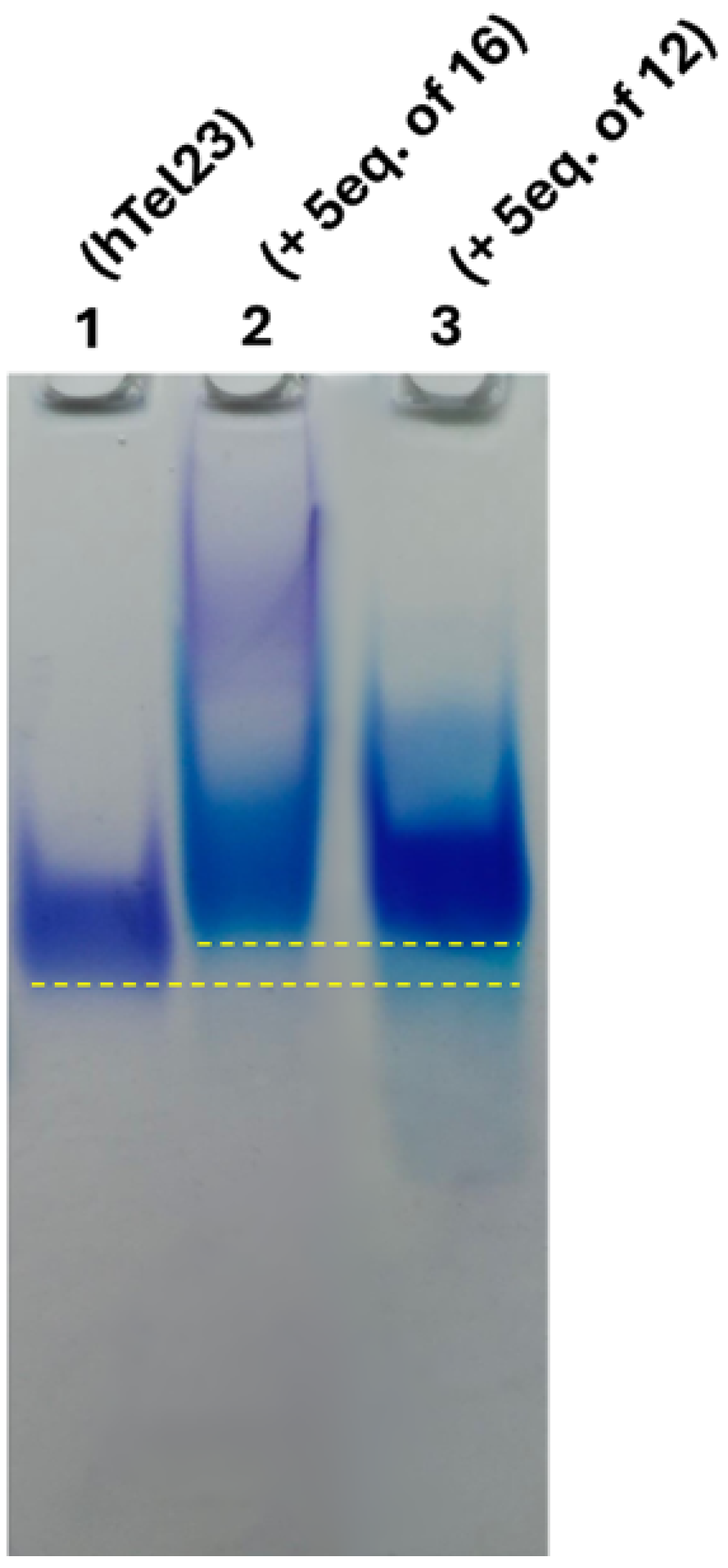 Molecules 29 05446 g007