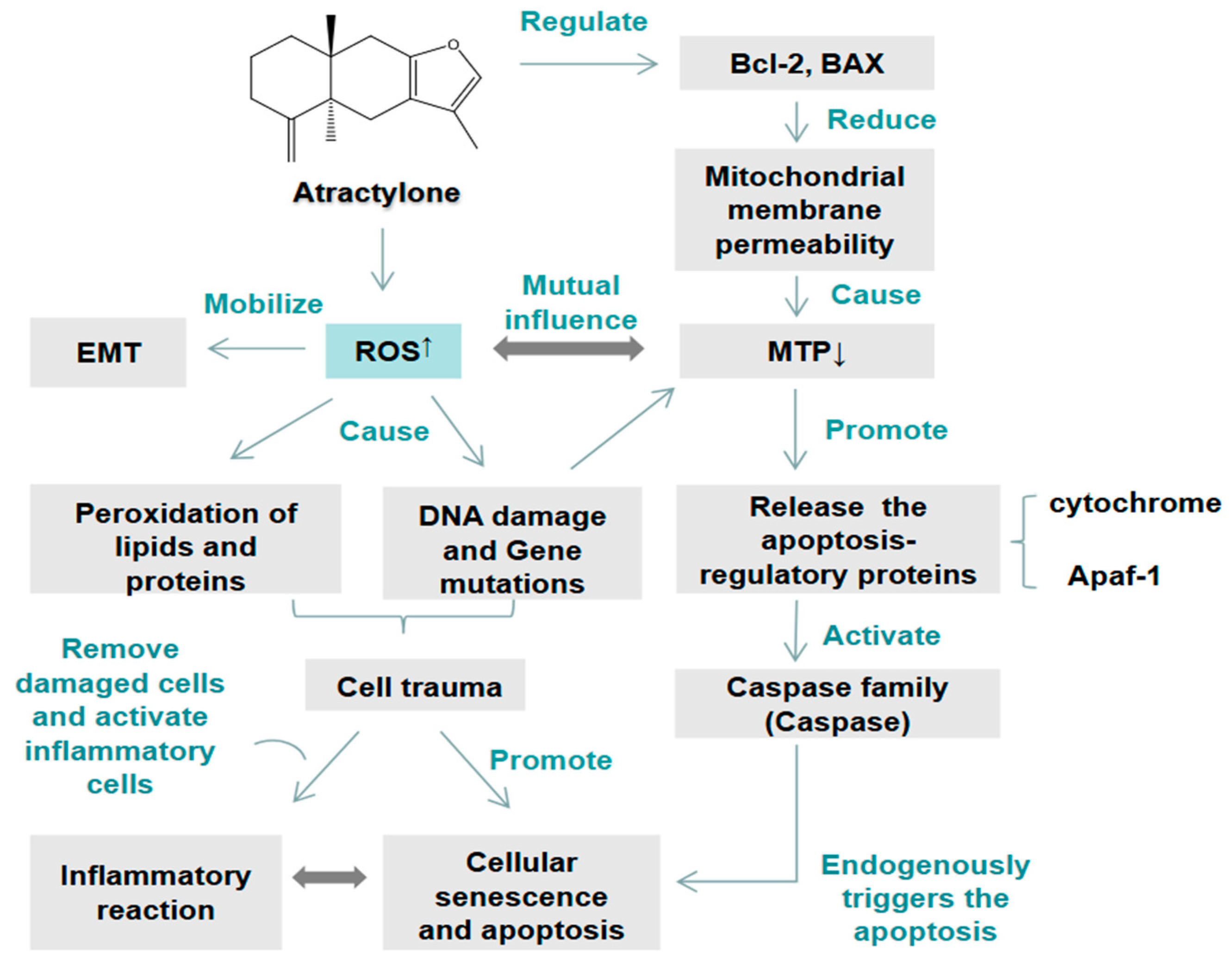 Molecules 29 05450 g003
