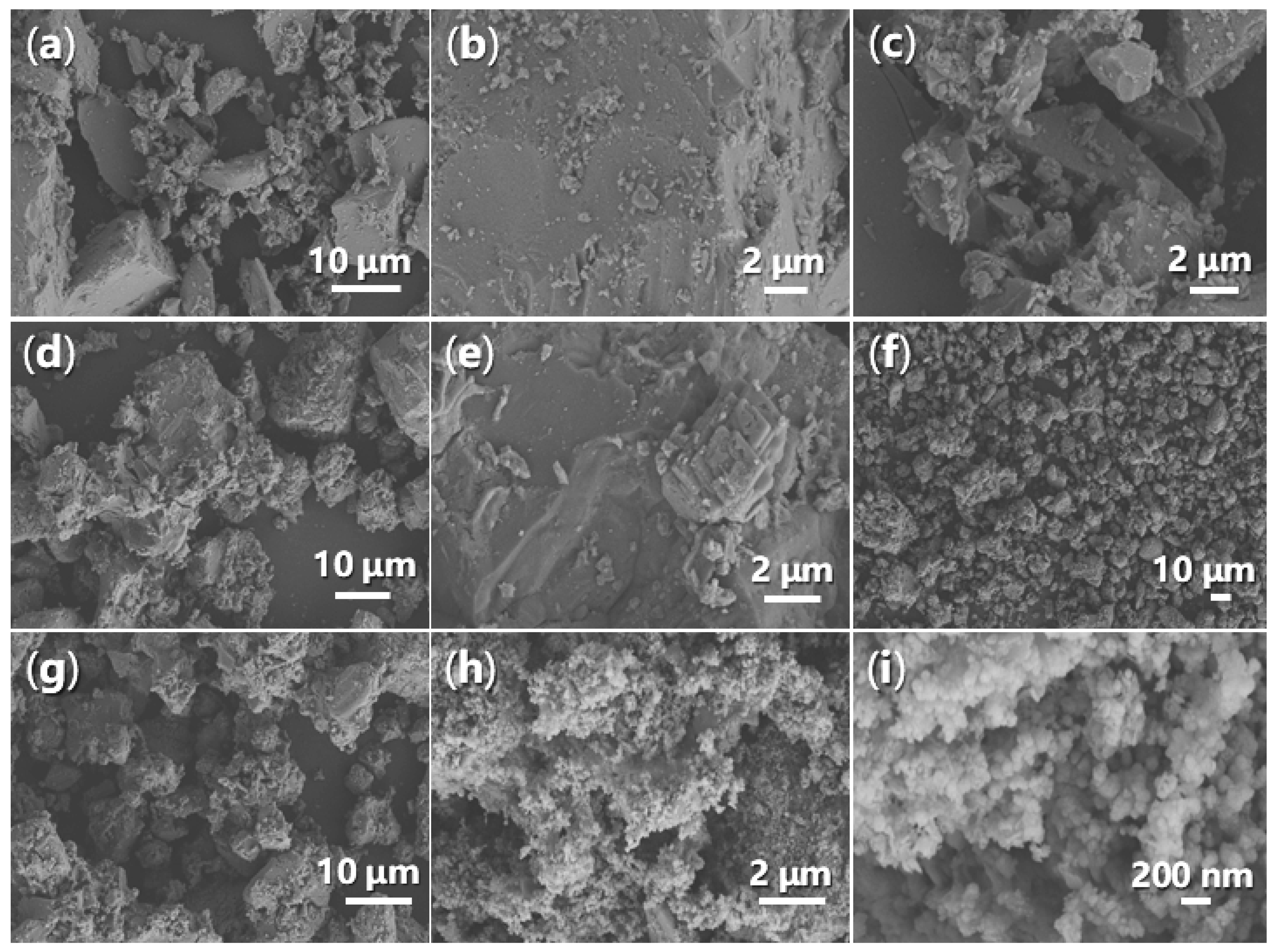 Molecules 29 05451 g013