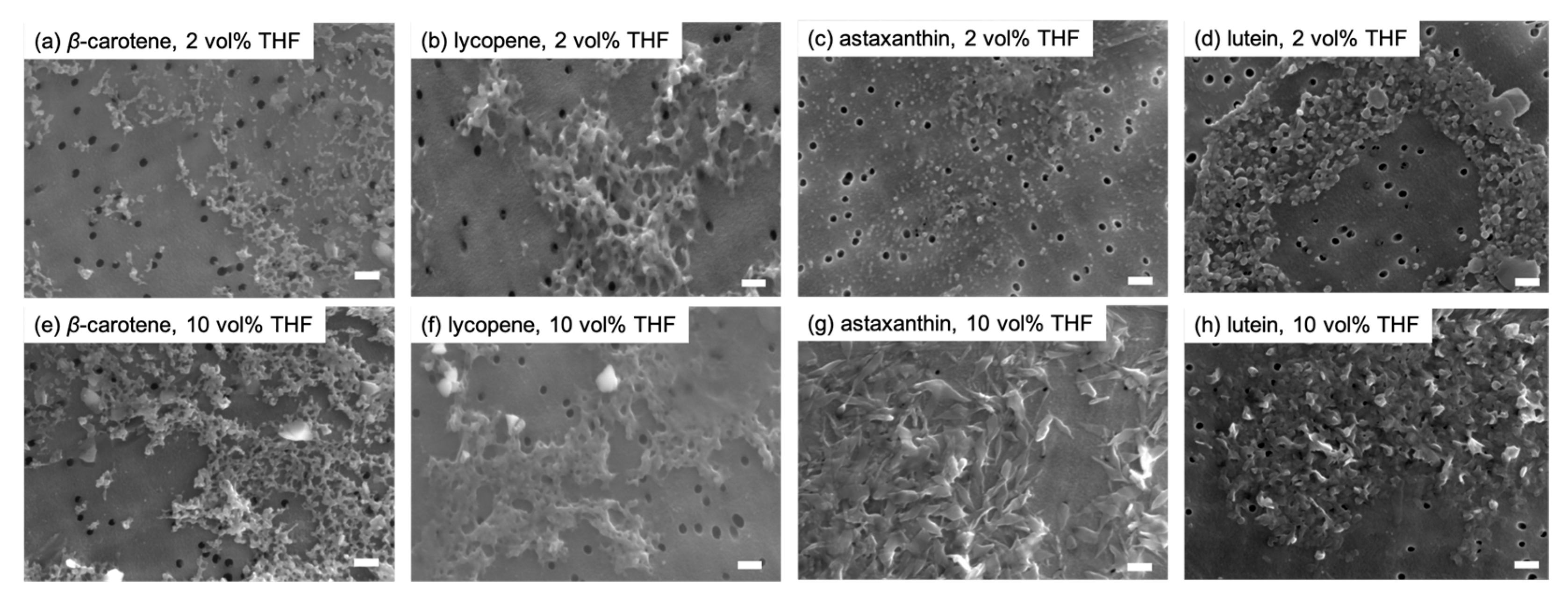 Molecules 29 05456 g004