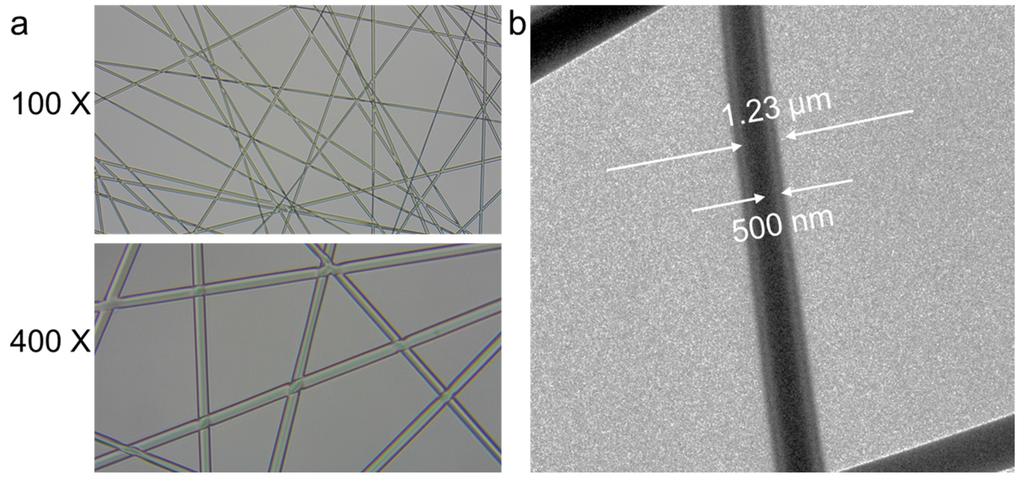 Molecules 29 05461 g004